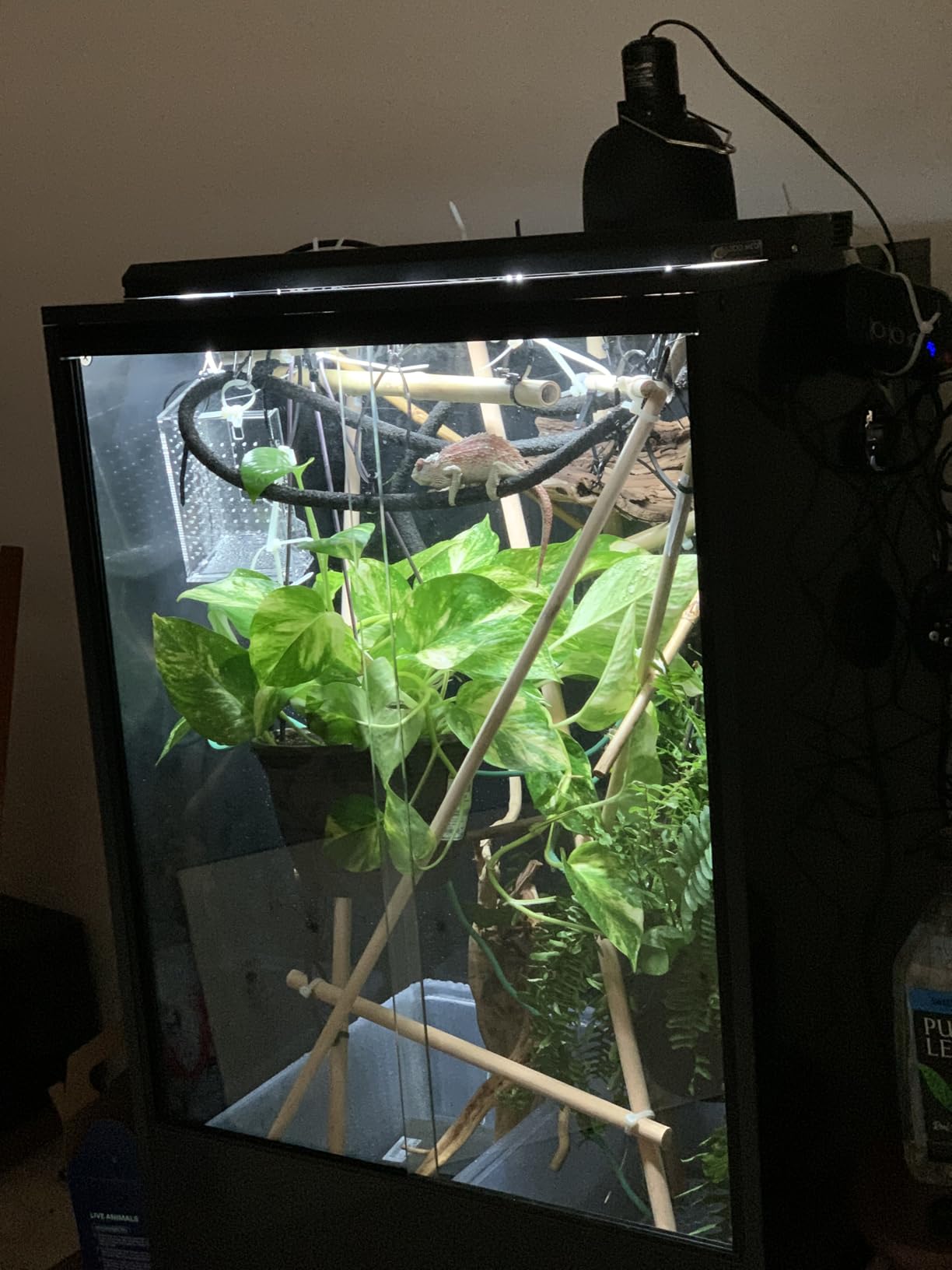 REPTIZOO 67 Gallon PVC Tall Reptile Tank, 24 x18x36 inch Large Reptile Terrarium for Gecko Lizard Chameleon Frog Snake, Enclosure Habitat with Sliding Door & Top Screen Ventilation customer photo 1