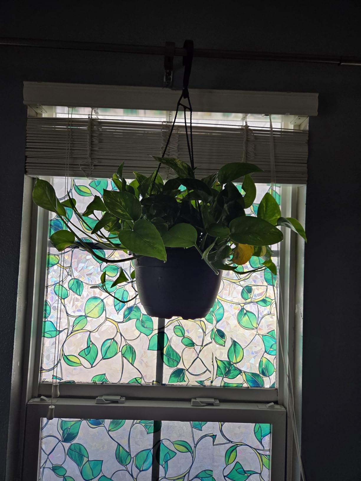 Grow Lights for Indoor Plants, Upgrade 84 LEDs Clip Plant Lights, Full Spectrum LED Plant Growing Lamps with Flexible Gooseneck, 3/9/12H Timer, 3 Spectral Modes, 10 Dimmable Levels (2 Head 1 pack) customer photo 1