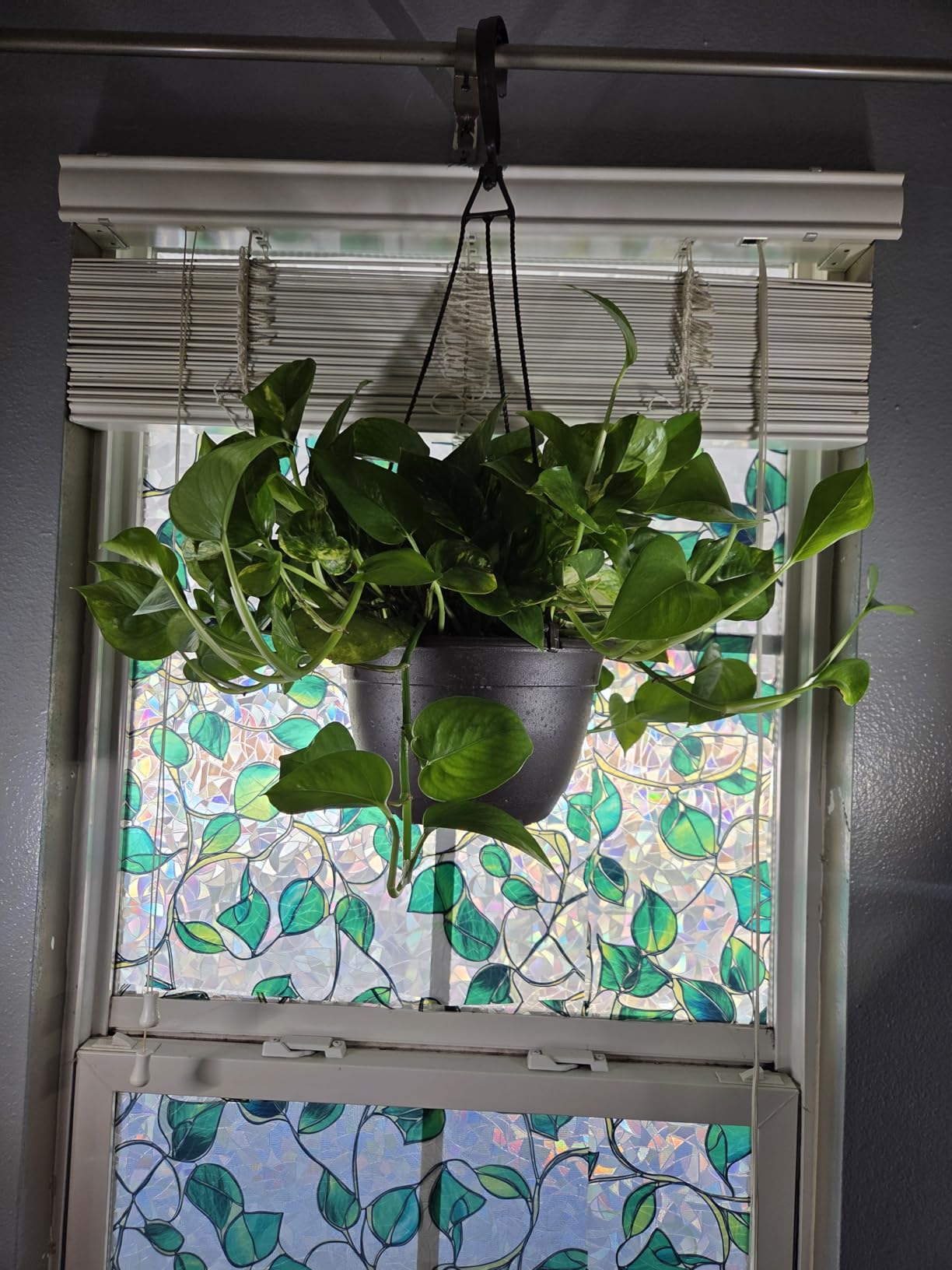 Grow Lights for Indoor Plants, Upgrade 84 LEDs Clip Plant Lights, Full Spectrum LED Plant Growing Lamps with Flexible Gooseneck, 3/9/12H Timer, 3 Spectral Modes, 10 Dimmable Levels (2 Head 1 pack) customer photo 2