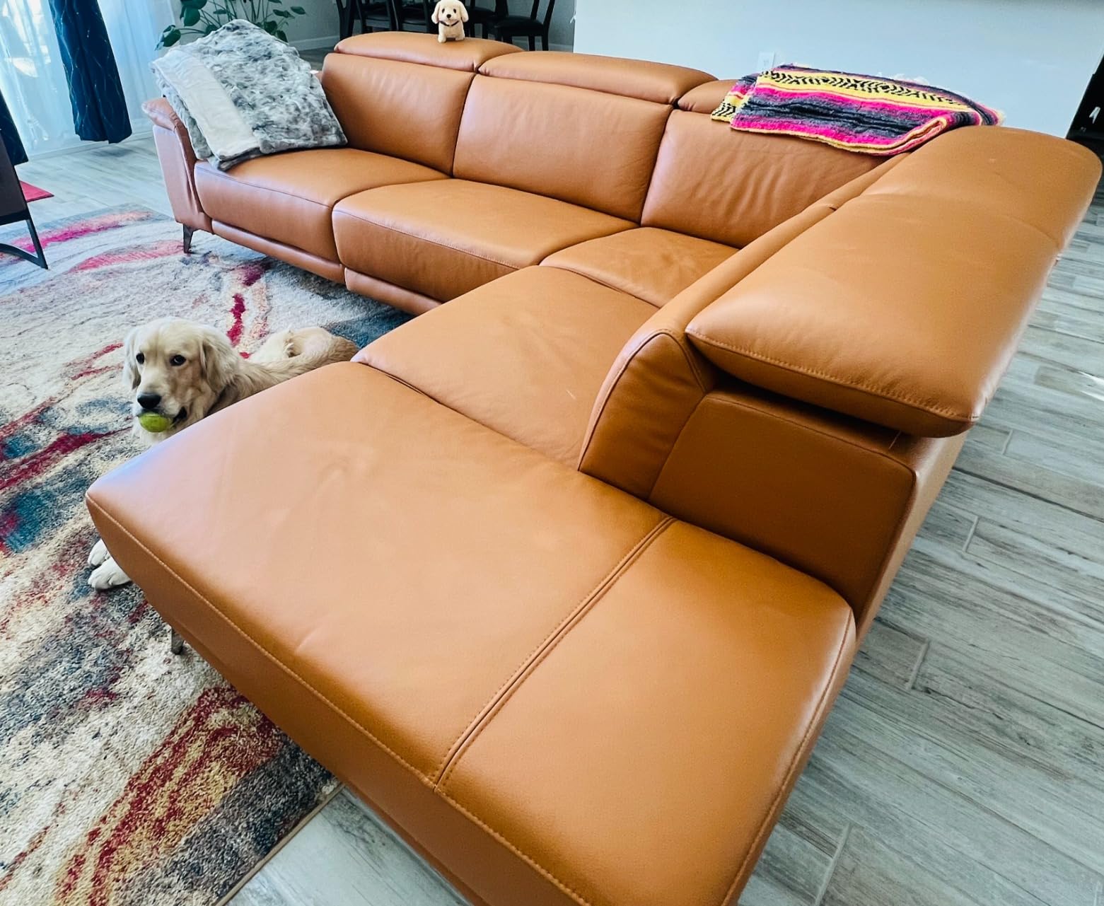 Valencia Pista Leather Reclining Sectional Sofa with Right Hand Chaise - Italian Nappa 11000 Top Grain Leather Couch - Power Reclining Seat with Leggett Adjustable Headrests - Black customer photo 1