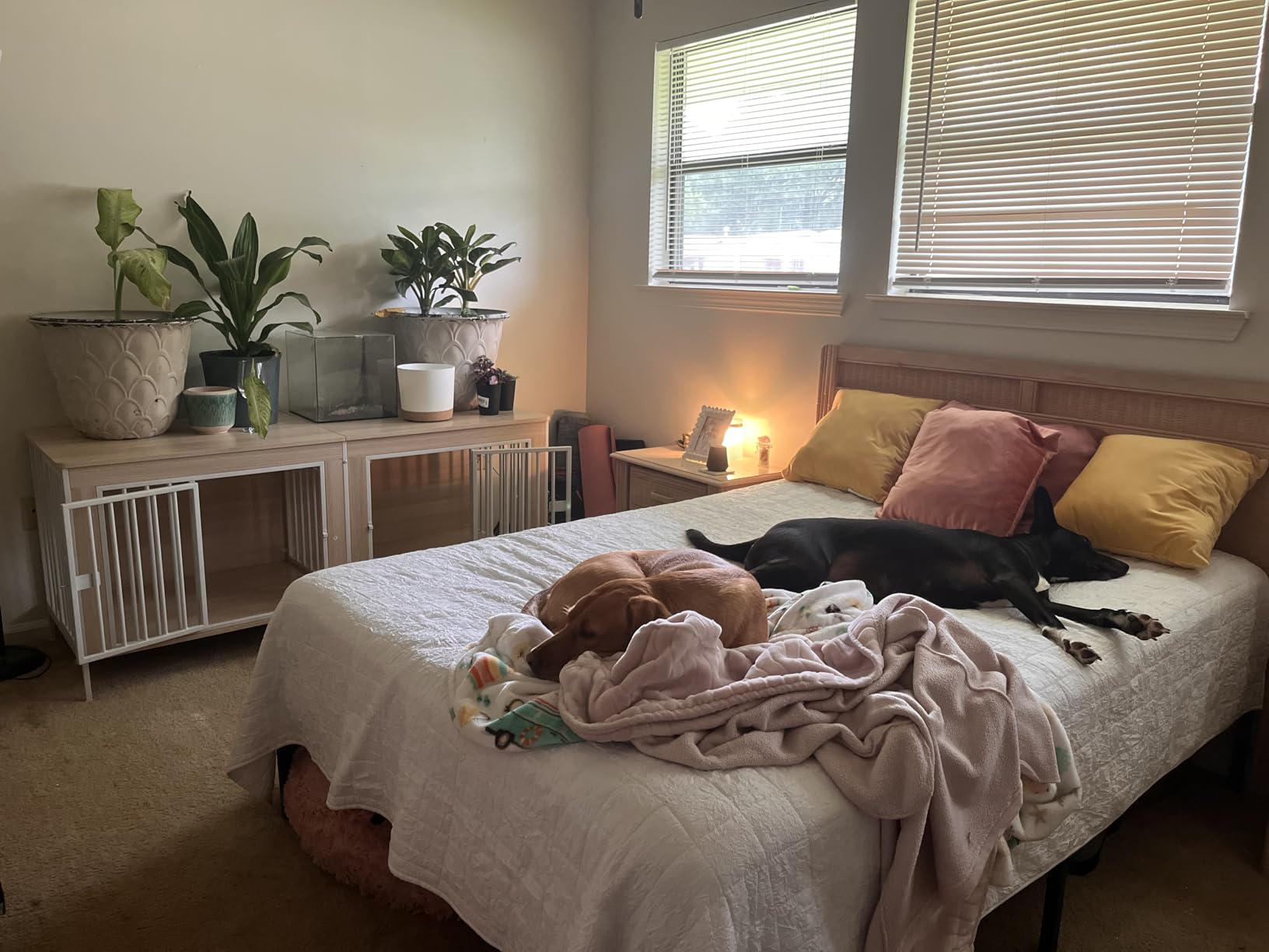 EasyCom Dog Crate Furniture for 1 or 2 Dogs, Heavy Duty Single/Double Dog Crates for Small/Medium/Large Dogs, Dog Kennel Furniture Indoor as TV Stand, Large Size 78.74