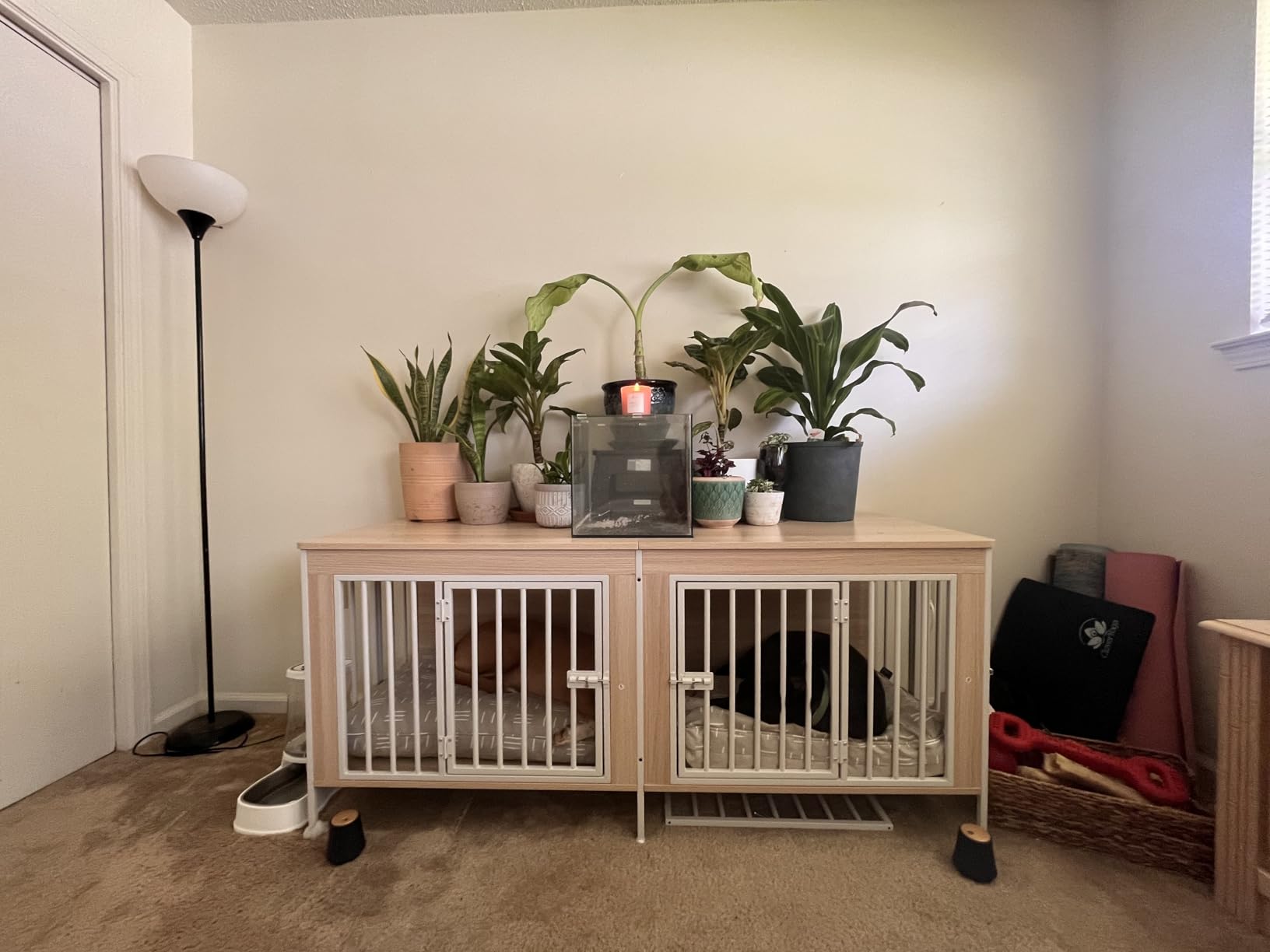 EasyCom Dog Crate Furniture for 1 or 2 Dogs, Heavy Duty Single/Double Dog Crates for Small/Medium/Large Dogs, Dog Kennel Furniture Indoor as TV Stand, Large Size 78.74