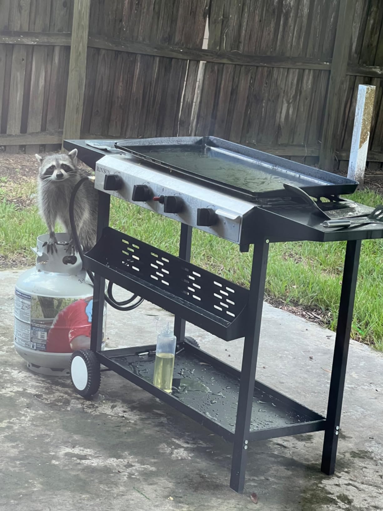 ROVSUN 4 Burner Portable Propane Griddle with Nonstick Enameled Tray, 40000 BTU Rolling Flat Top Gas Grill with Electronic Ignition, Side Shelves & Regulator for Outdoor Cooking Camping BBQ Tailgating customer photo 1