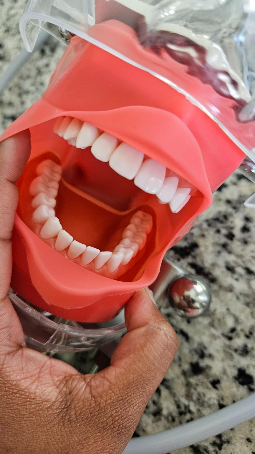 Ultrassist Dental Manikin Head with 32 Typodont Teeth Model, Dental Typodont Mount Fixed on Table, Dental Phantom Head customer photo 2