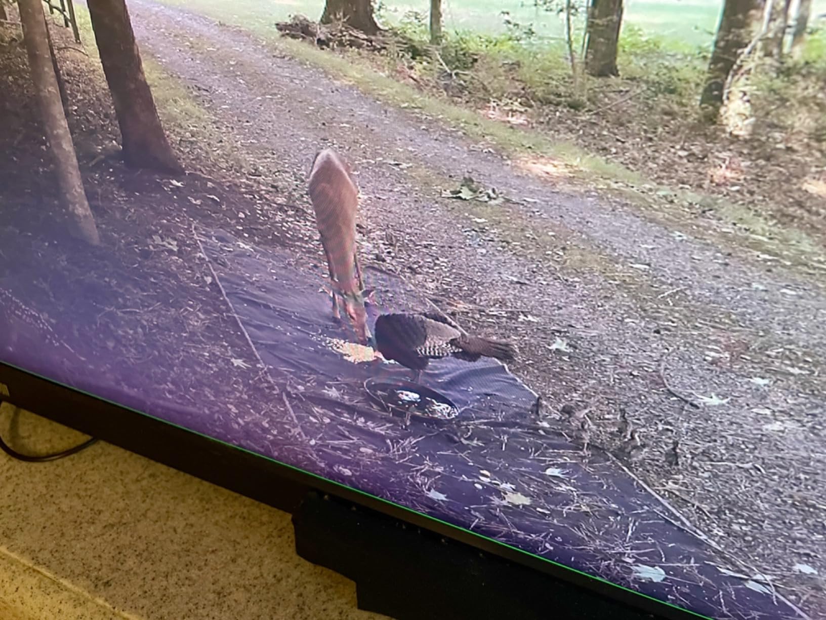 SAMSUNG 27-Inch ViewFinity S7 (S70D) Series 4K UHD High Resolution Monitor with HDR10, Multiple Ports, Easy Setup Stand, Advanced Eye Care, LS27D702EANXGO, 2024 customer photo 1