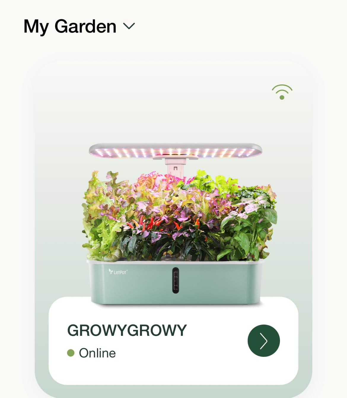 LetPot LPH-Air Hydroponics Growing System Kits, APP & WiFi Controlled Smart Indoor Garden with Adjustable 24W Grow Light Full Spectrum, 10 Pods Planter Indoor Gardening for Gifts, Kitchen, Vegetable customer photo 2