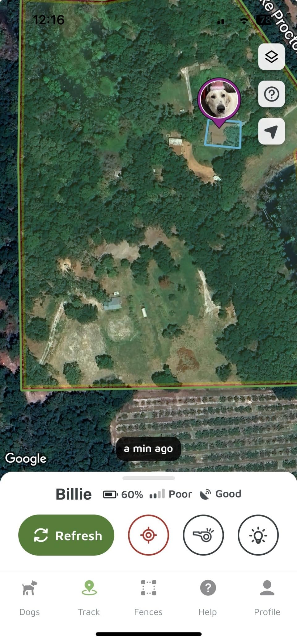 SpotOn GPS Wireless Dog Fence Collar, Accurate & Reliable, Unlimited Fences, Extended Battery Life Mode, No Subscription, Built in USA, Omni Collar Model, Large Dog Breed Neck Size 19