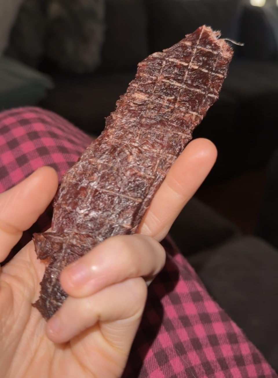 Magic Mill Pro Food Dehydrator Machine | 10 Stainless Steel Trays | Dryer for Jerky, Dog Treats, Herb, Meat, Beef, Fruit | Keep Warm Function, Digital Timer and Temperature Control, ETL Approved customer photo 2