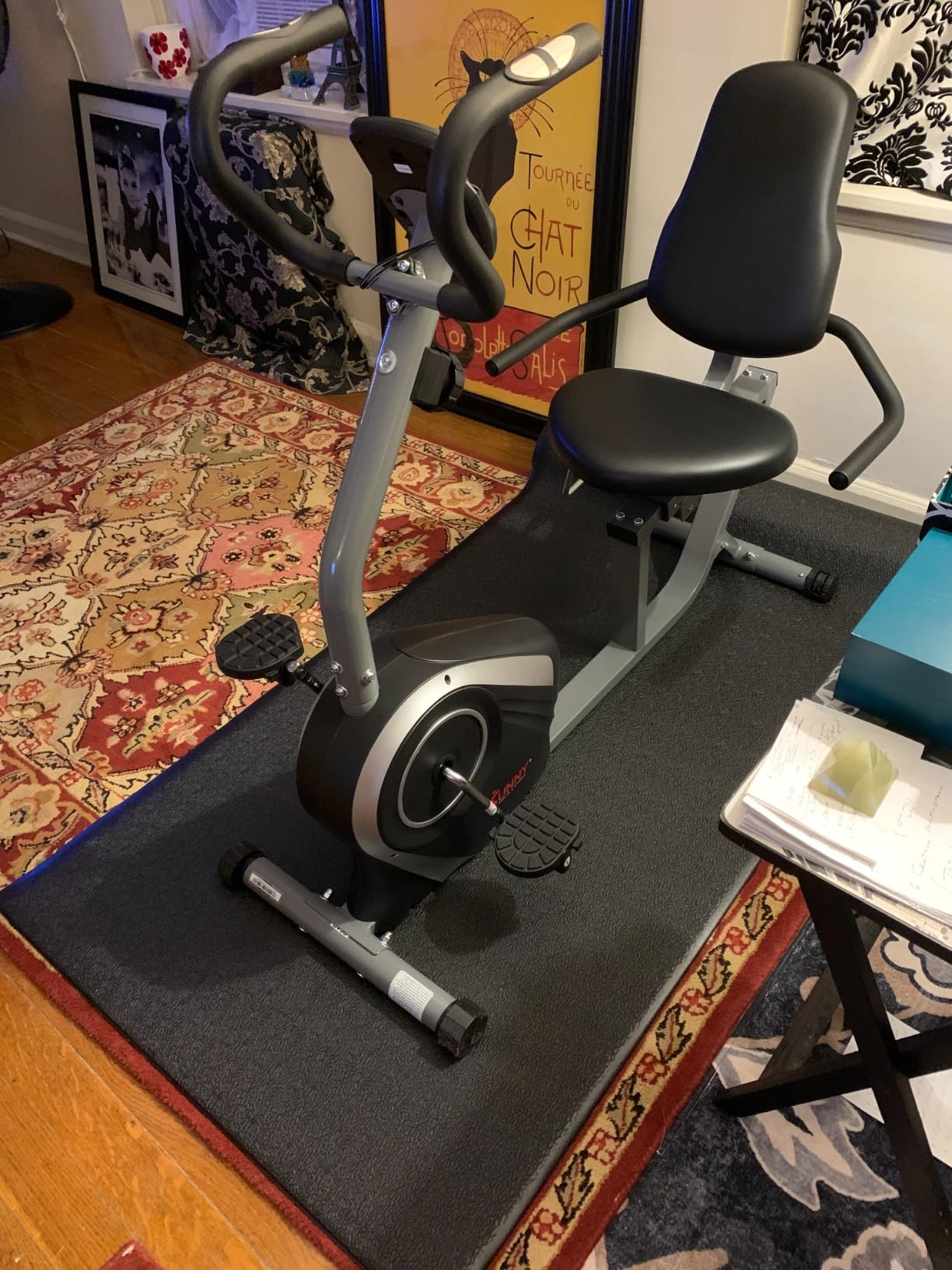 Sunny Health & Fitness Smart Recumbent Bike w/Wide Cushioned Seat & Back, Indoor Cycling Machine for Adult/Seniors Home Exercise, Free SunnyFit App Connection customer photo 2