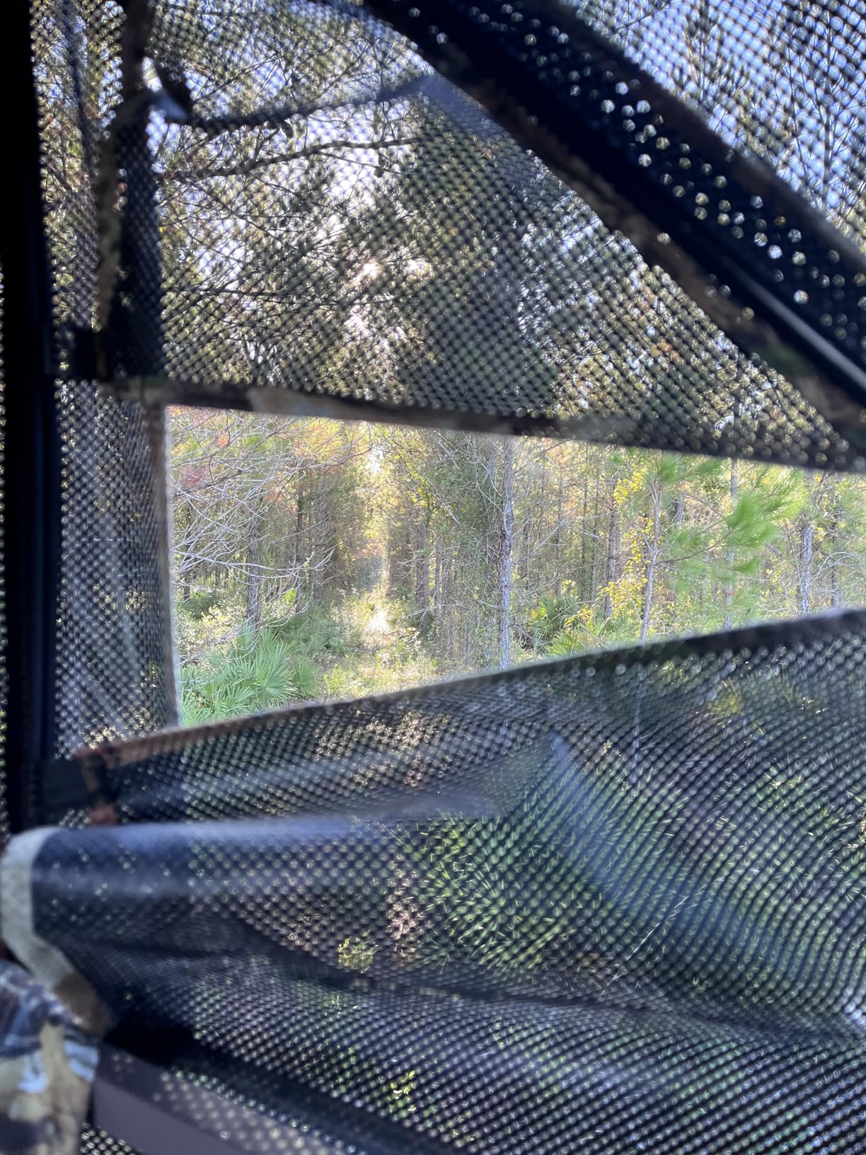 TIDEWE Hunting Blind 360 deg See Through with Large Open Door, Pop Up Ground Blind with Removable Curtain & Carrying Bag, Portable Resilient Tent(Forest Fade Camo) customer photo 2