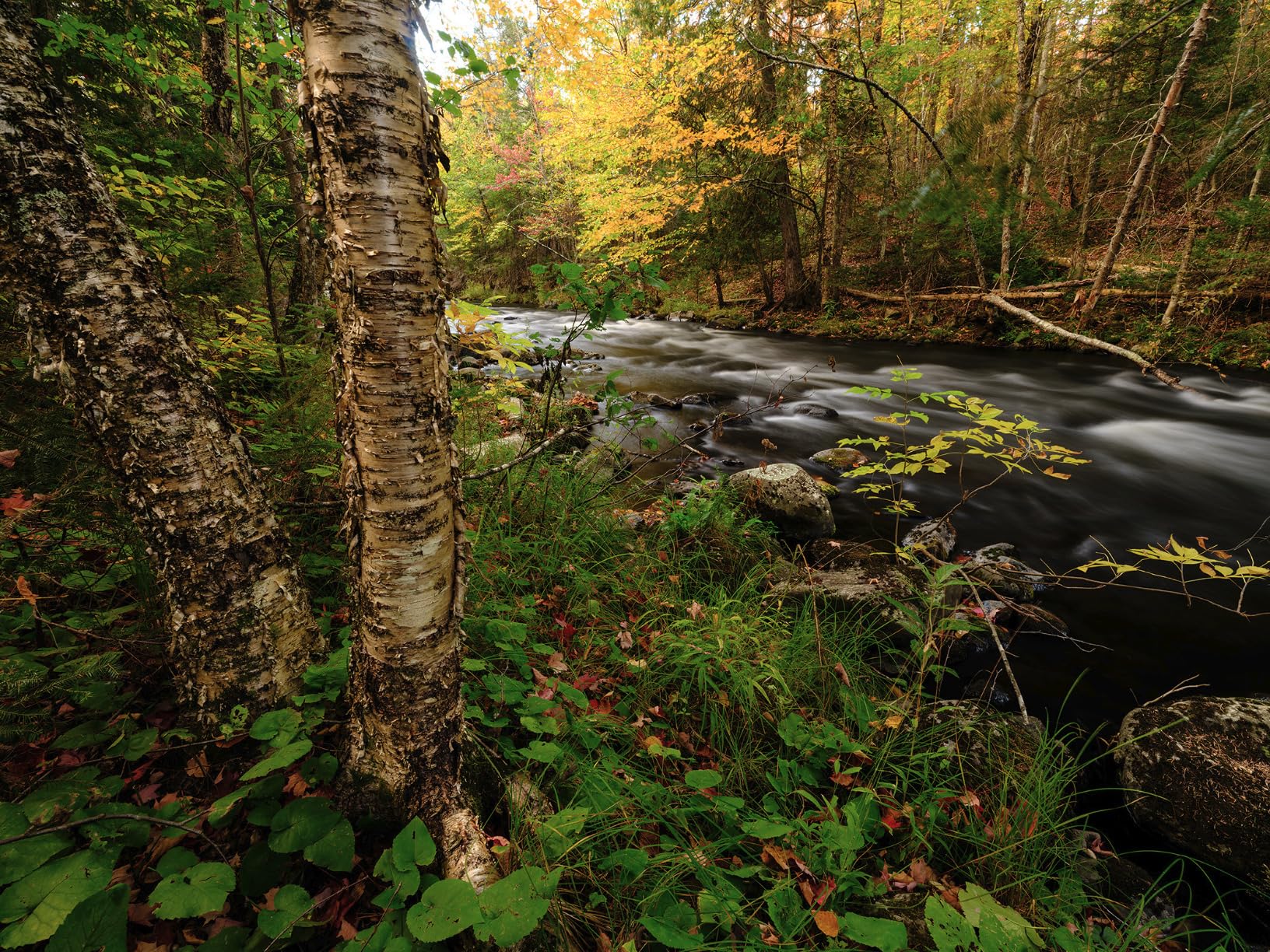 Fujifilm GFX100S II Body Mirrorless Medium Format Camera - 102MP BSI CMOS Sensor customer photo 1