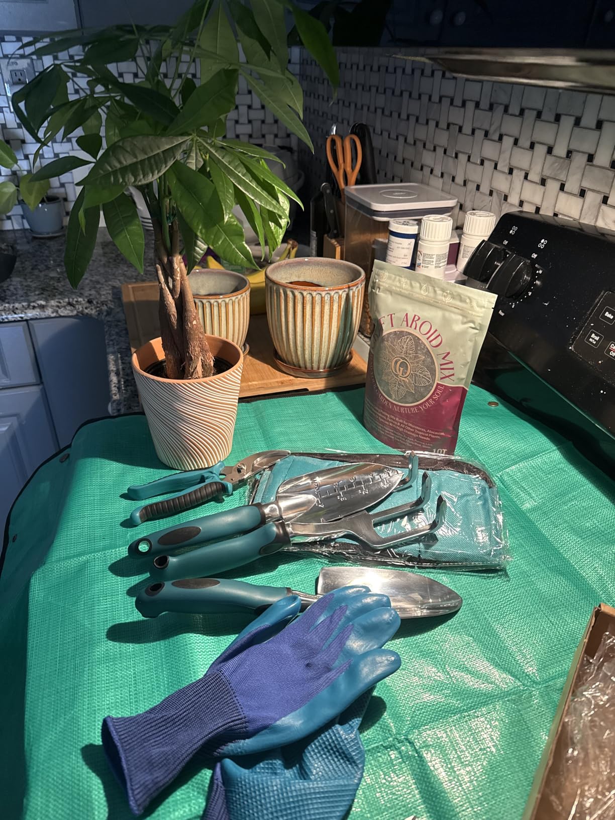 Kynup Garden Tools, Gardening Gift for Women, Men, Beginners, Gardening Hand Tools Kit, Gardening Supplies, Essentials, Garden Stuff, Rust Resistant Garden Tool Set for Weeding, Digging, Planting customer photo 1