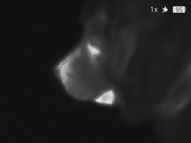 TOPDON TS004 Thermal Imaging Monocular, 320 x 240 TISR 256 x 192 IR Resolution, Supported Wireless Connection, 13mm 50Hz Thermal Night Vision with 11h Battery Life, IP67 Monocular for Hunting customer photo 2