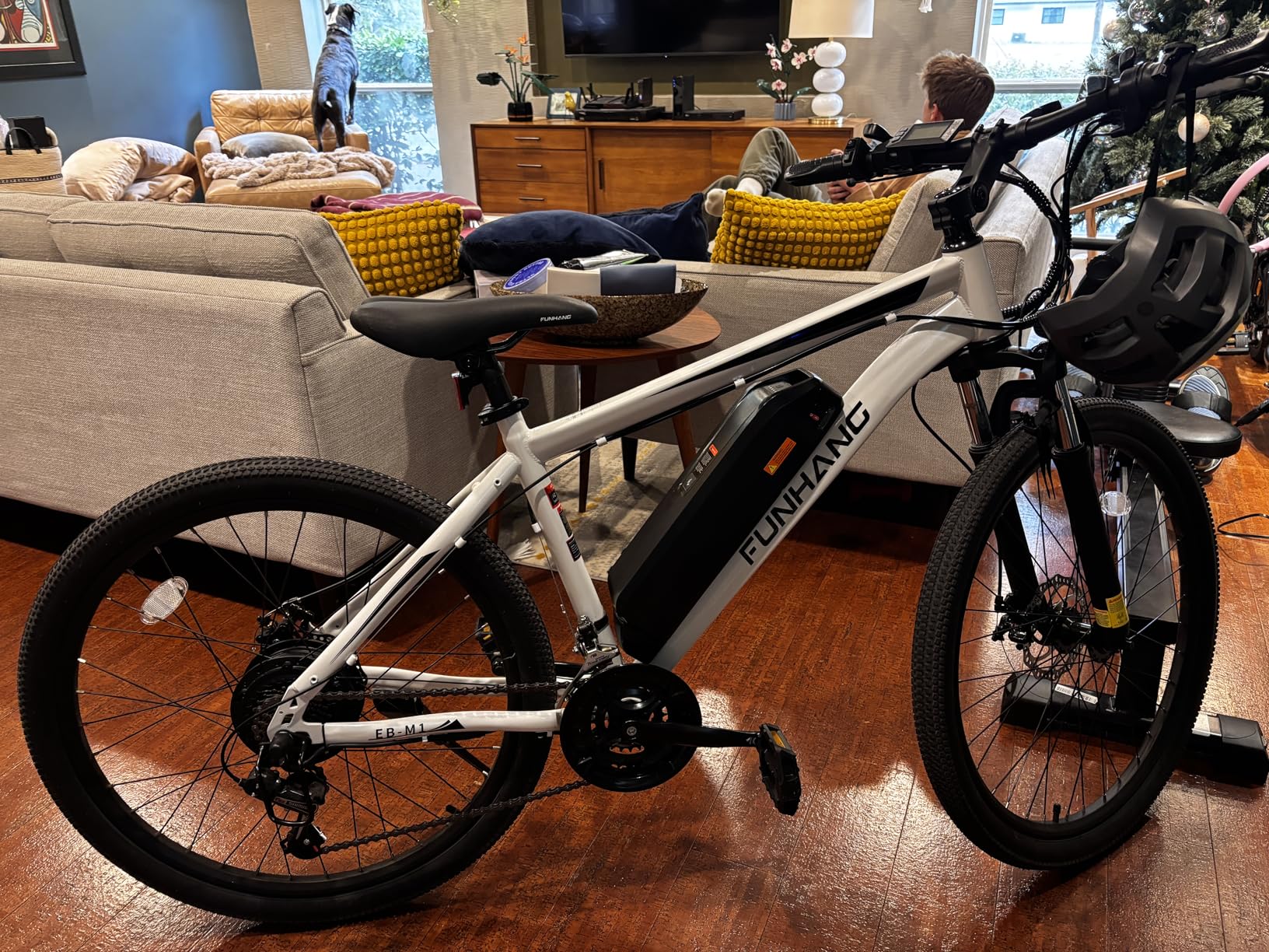 Electric Bike for Adults, 1000W Peak Ebike, 50Miles 21.7MPH Electric Mountain Bike, 26