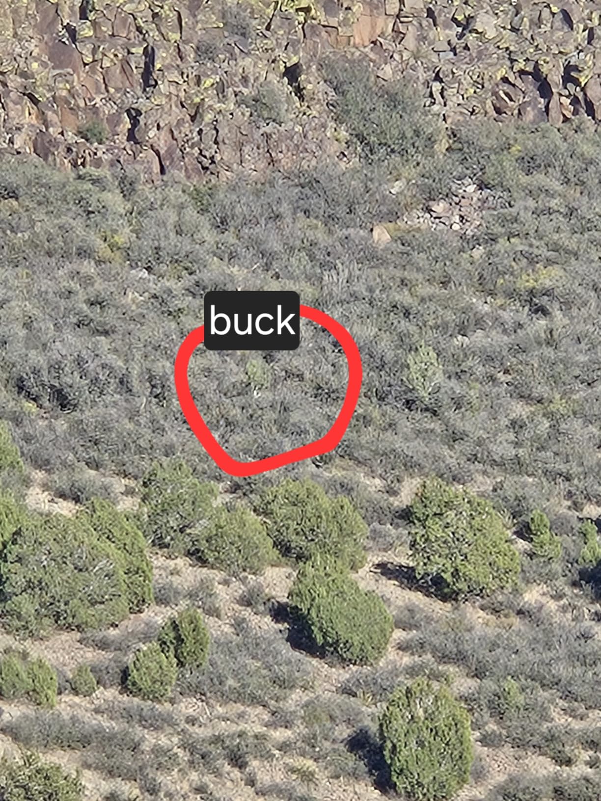 Vortex Optics Crossfire HD Spotting Scopes customer photo 2