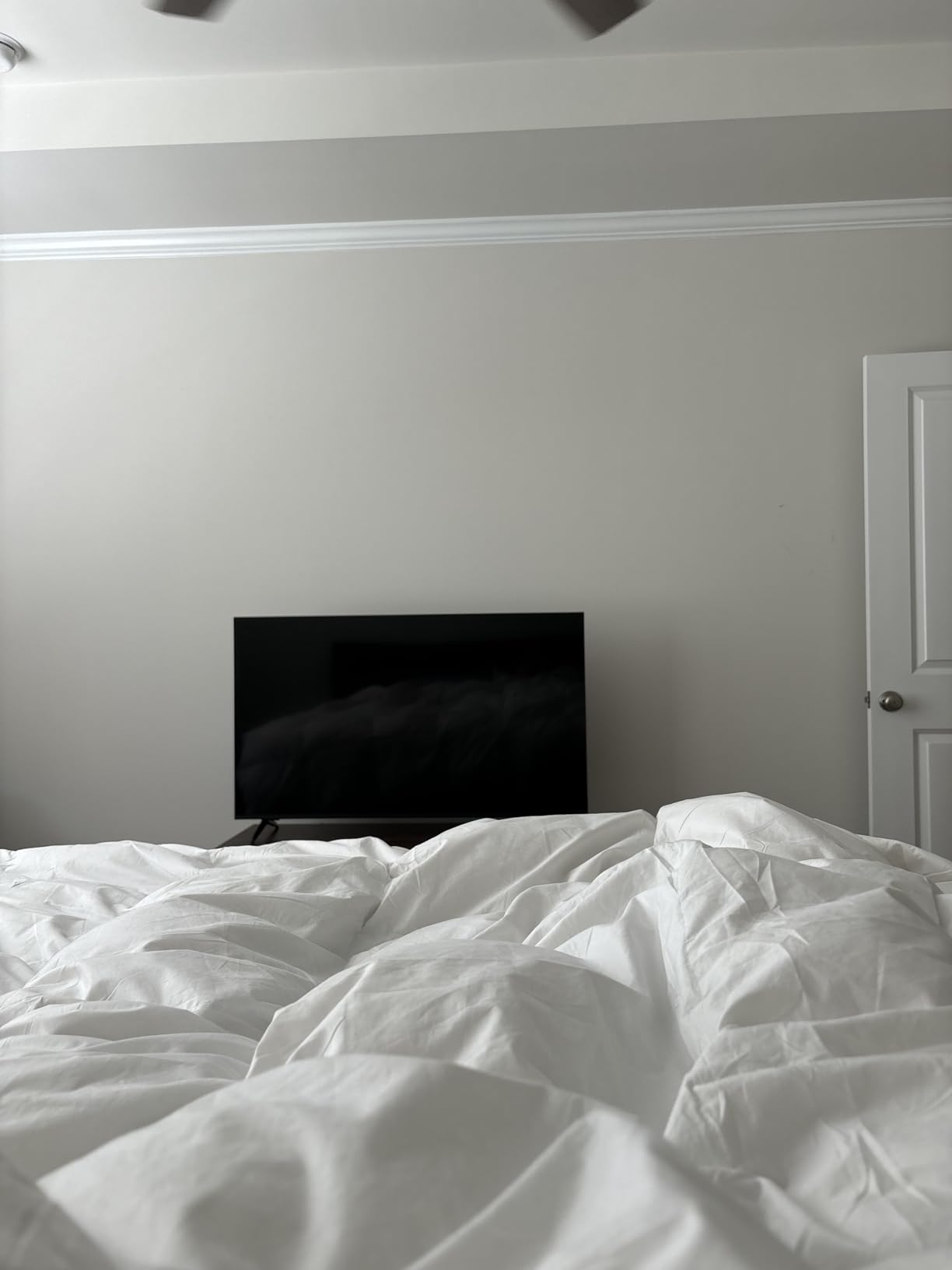 Martha Stewart Goose Feather Down Fiber Cotton Comforter Queen Size, Feather Duvet Insert Queen, Hotel Collection Hypoallergenic Comforter 58oz All Season Medium Warmth 90 x 90 Inch White customer photo 1