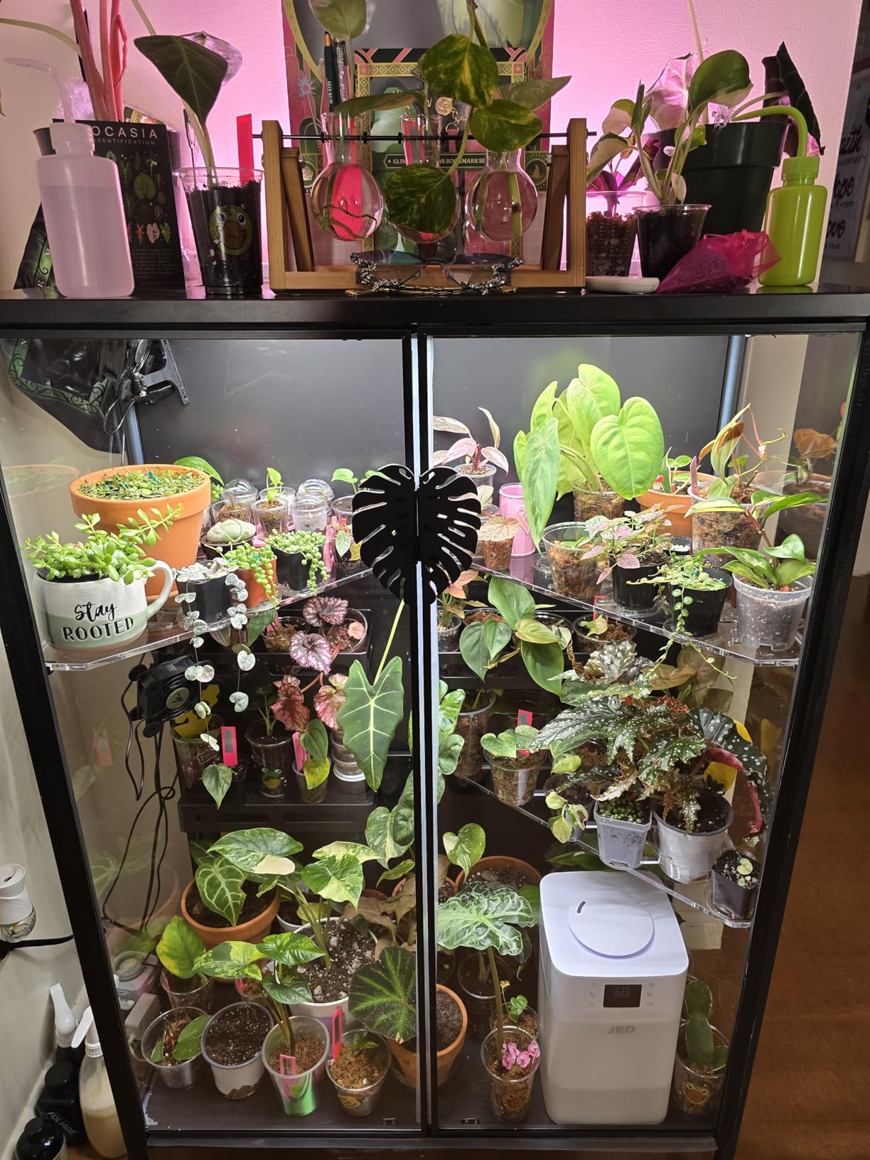 GHome Smart Plug, WiFi Smart Plugs Work with Alexa and Google Home, Smart Outlet Timer with APP Remote Control, 2.4GHz Wi-Fi Only, No Hub Required, ETL FCC Listed, White customer photo 2