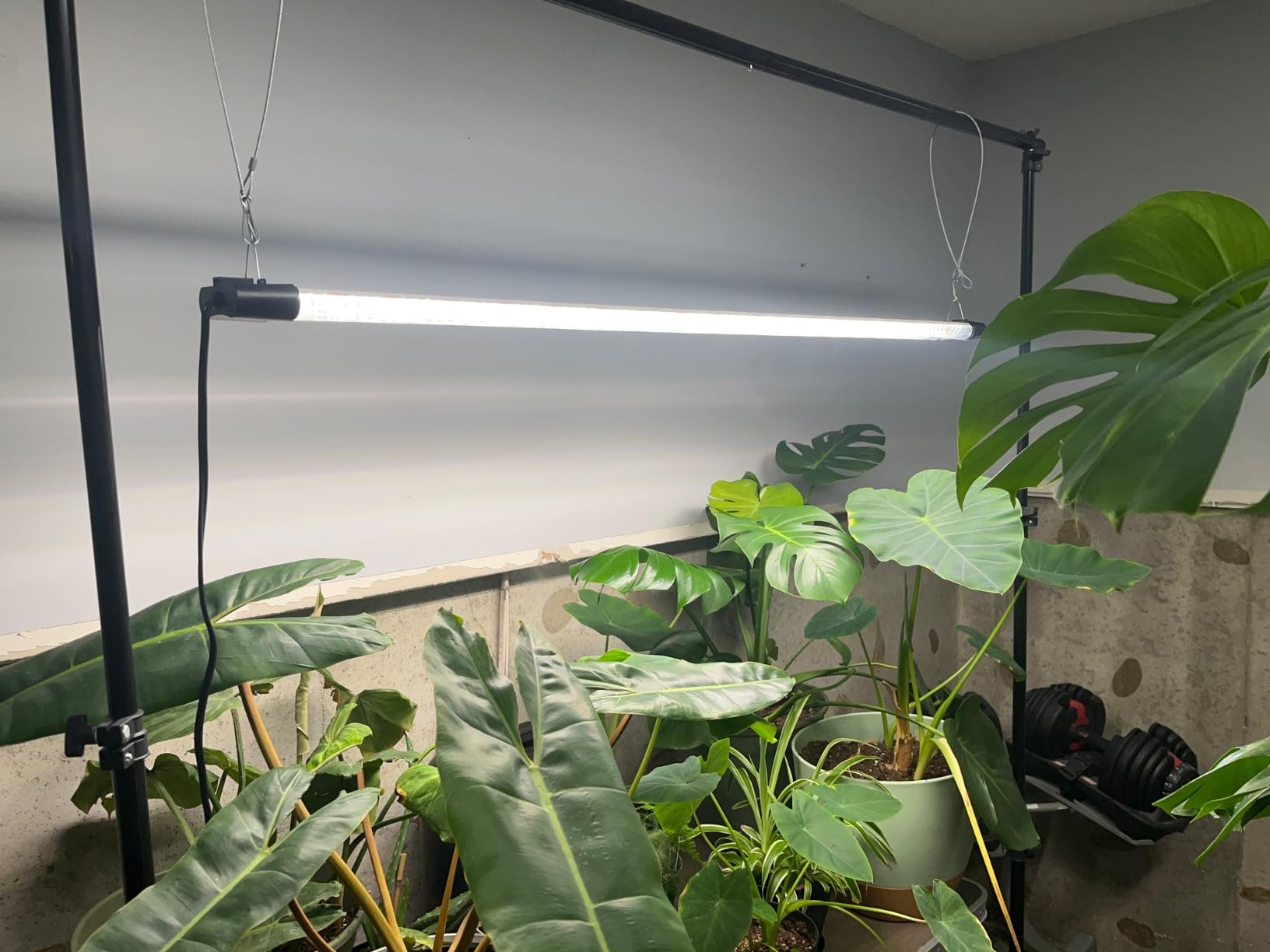 LED Grow Light Full Spectrum Light Linkable 5000K Daylight + 660nm Red Indoor Plant Lighting Fixture (2 FT) customer photo 2