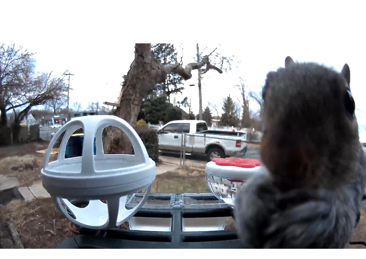 Smart Bird Feeder with Camera Outdoor: Solar Birdfeeder Cam for Outside Garden - 2K HD Live Video Camera AI Recognition Visible Window Auto Capture - Bird Lover Gifts customer photo 1