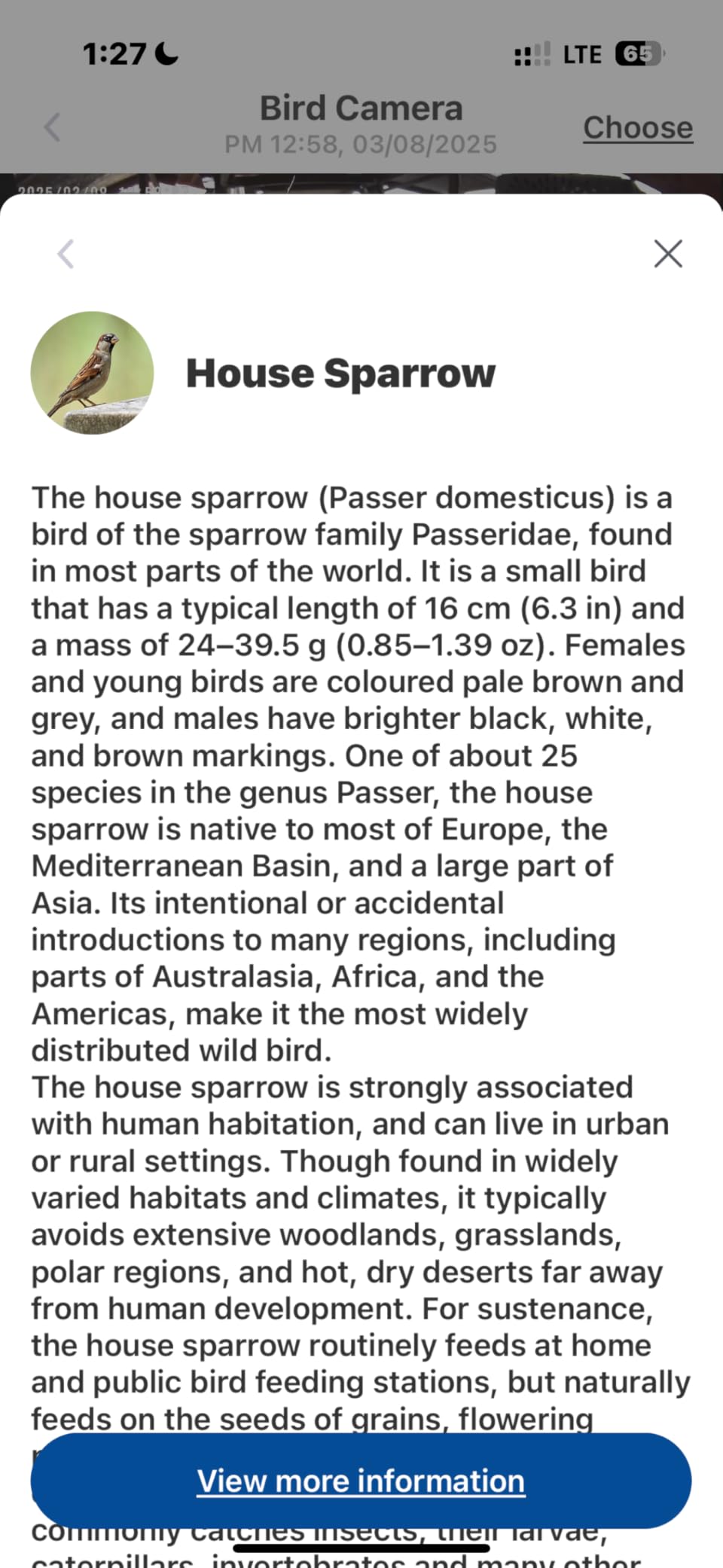 Smart Bird Feeder with Camera Outdoor: Solar Birdfeeder Cam for Outside Garden - 2K HD Live Video Camera AI Recognition Visible Window Auto Capture - Bird Lover Gifts customer photo 2