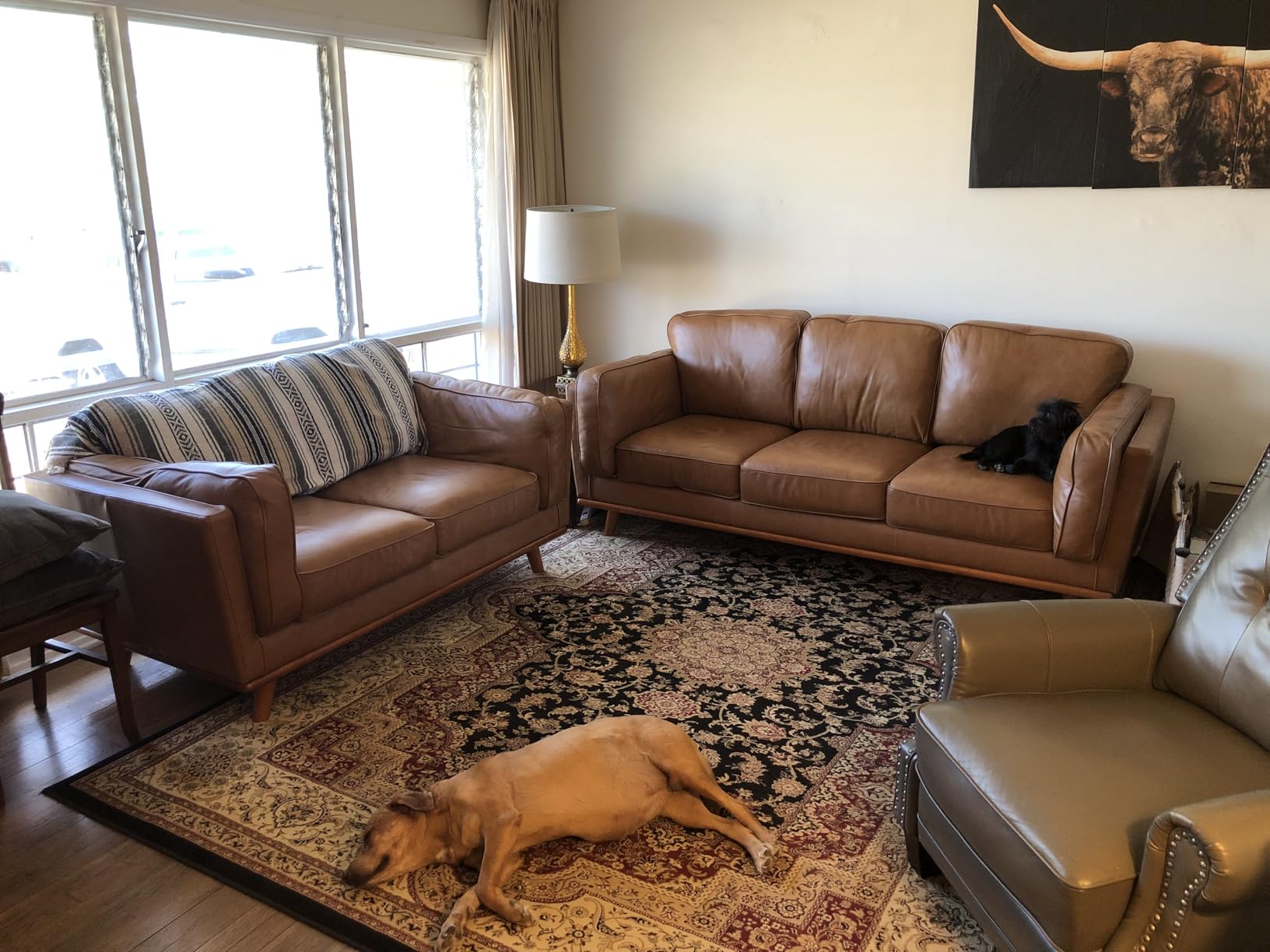 Valencia Artisan Full Leather Sofa - Pure Full Italian Nappa Leather Couch, Solid Wood Accent, Ultimate Comfort (Cognac, Right Chaise Sectional) customer photo 1