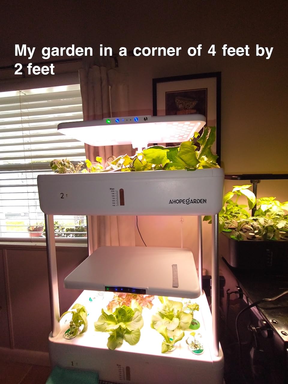 Ahopegarden Hydroponics Growing System Indoor Garden, 44 Pods Plant Herb Garden Germination Kit with LED Grow Light, 20L Double-Layer Large Capacity Hydrophonic Planter Grower for Vegetable Fruit customer photo 1