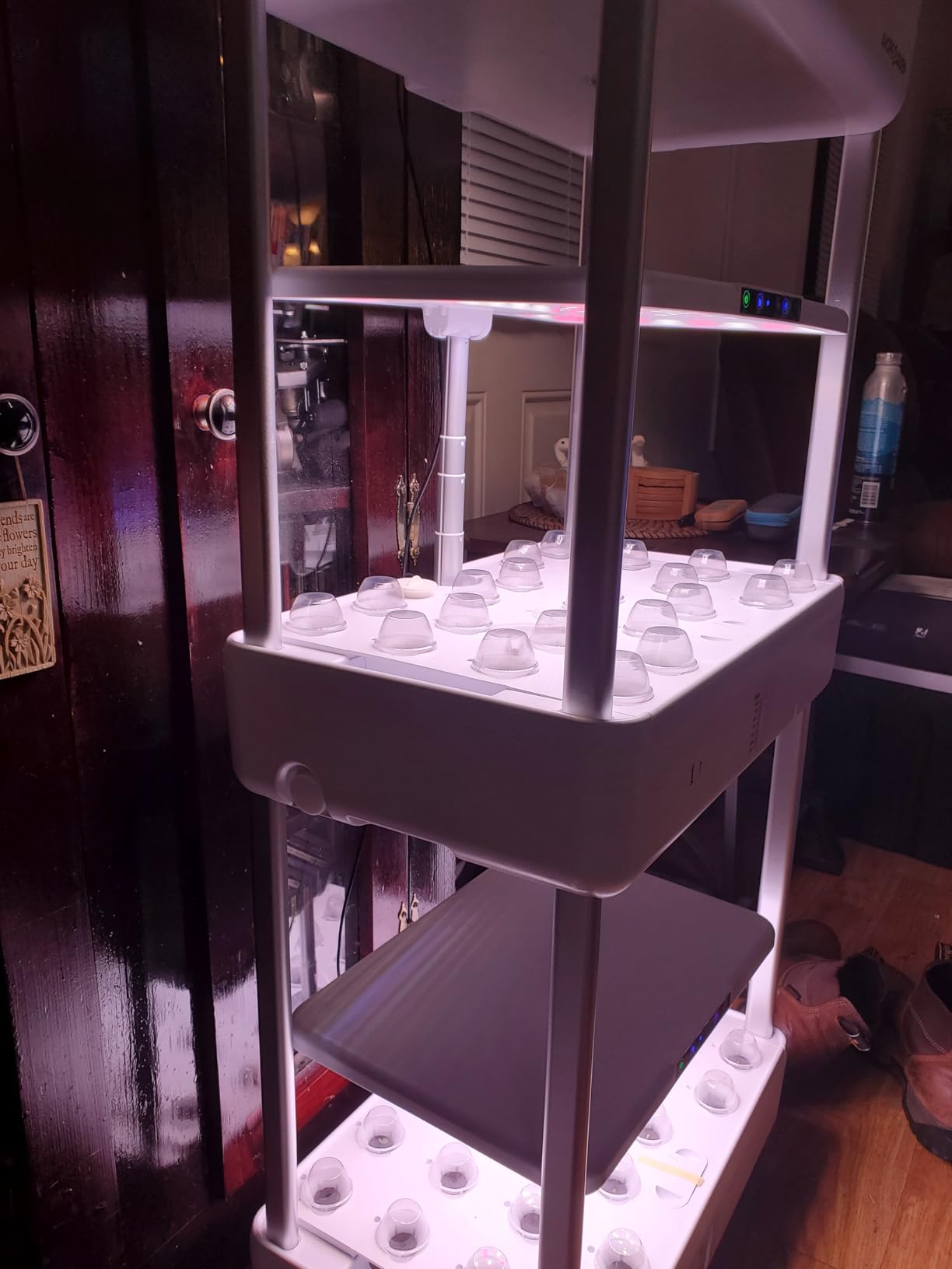 Ahopegarden Indoor Garden Hydroponics Growing System Kit: 66 Pods Plant Herb Garden Germination Kit with LED Grow Light, 30L Large Capacity Kitchen Hydroponics Planter Grower for Vegetable Fruit customer photo 1