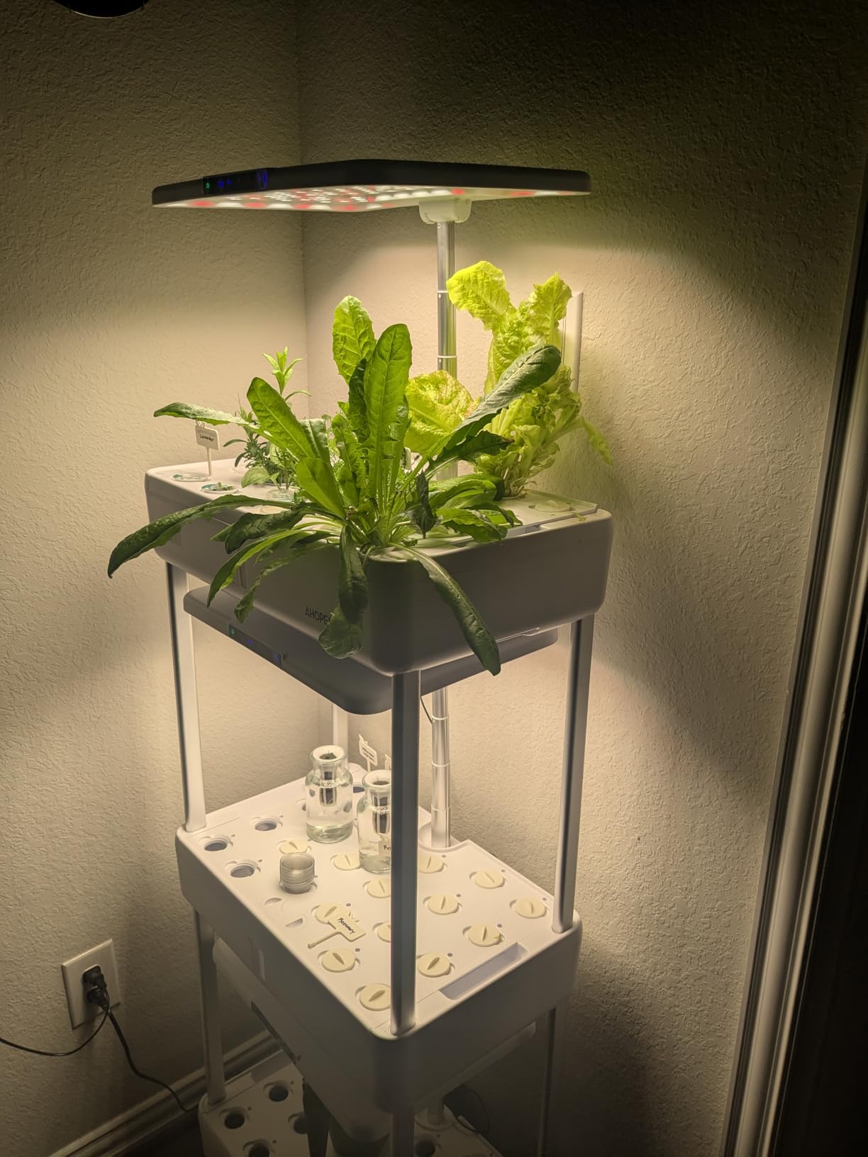 Ahopegarden Indoor Garden Hydroponics Growing System Kit: 66 Pods Plant Herb Garden Germination Kit with LED Grow Light, 30L Large Capacity Kitchen Hydroponics Planter Grower for Vegetable Fruit customer photo 2