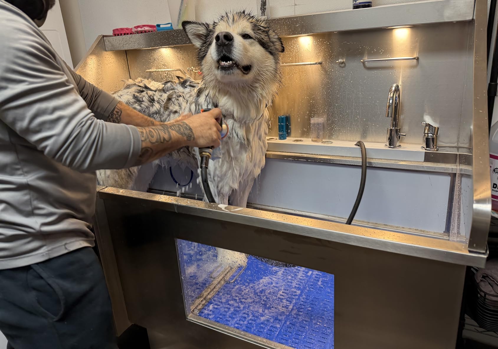 POLIMO Dog Washing Station, LED Professional Stainless Steel Dog Bathing Station 50