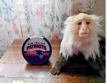 Amazon Echo Pop (newest model) | Officially Licensed NFL Limited-Edition | Los Angeles Rams ('25-26 Season Design) customer photo 2