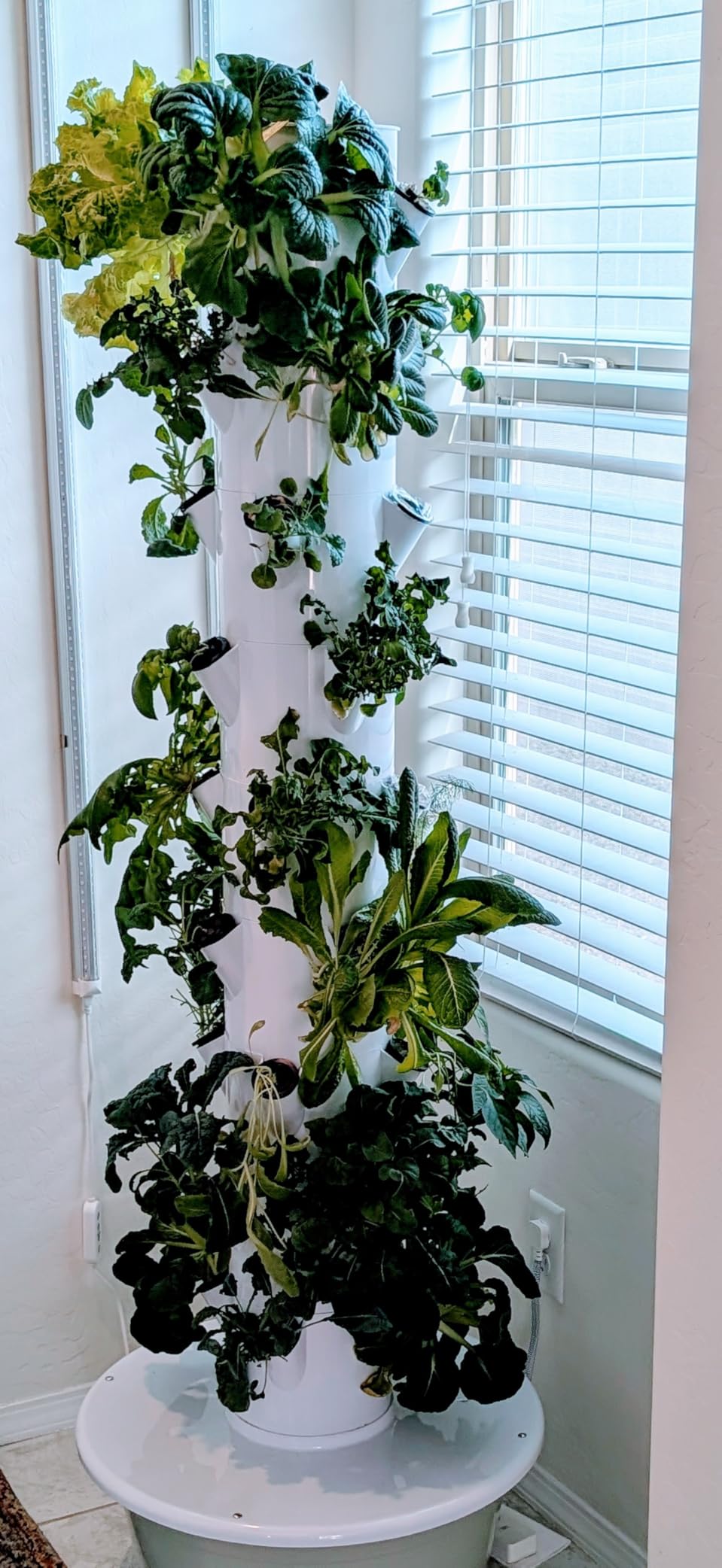 Vertical Hydroponic Grow Tower Aeroponic Tower for Fruits and Vegetables 9 Layer 36 Pots Planter with Water Tank and Pump customer photo 1