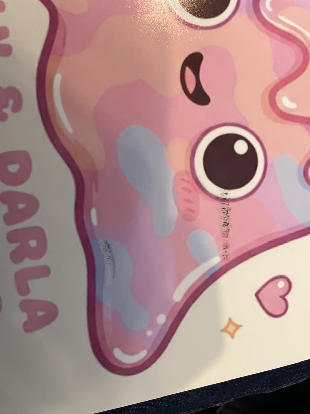 Canon imagePROGRAF PRO-1100: 17