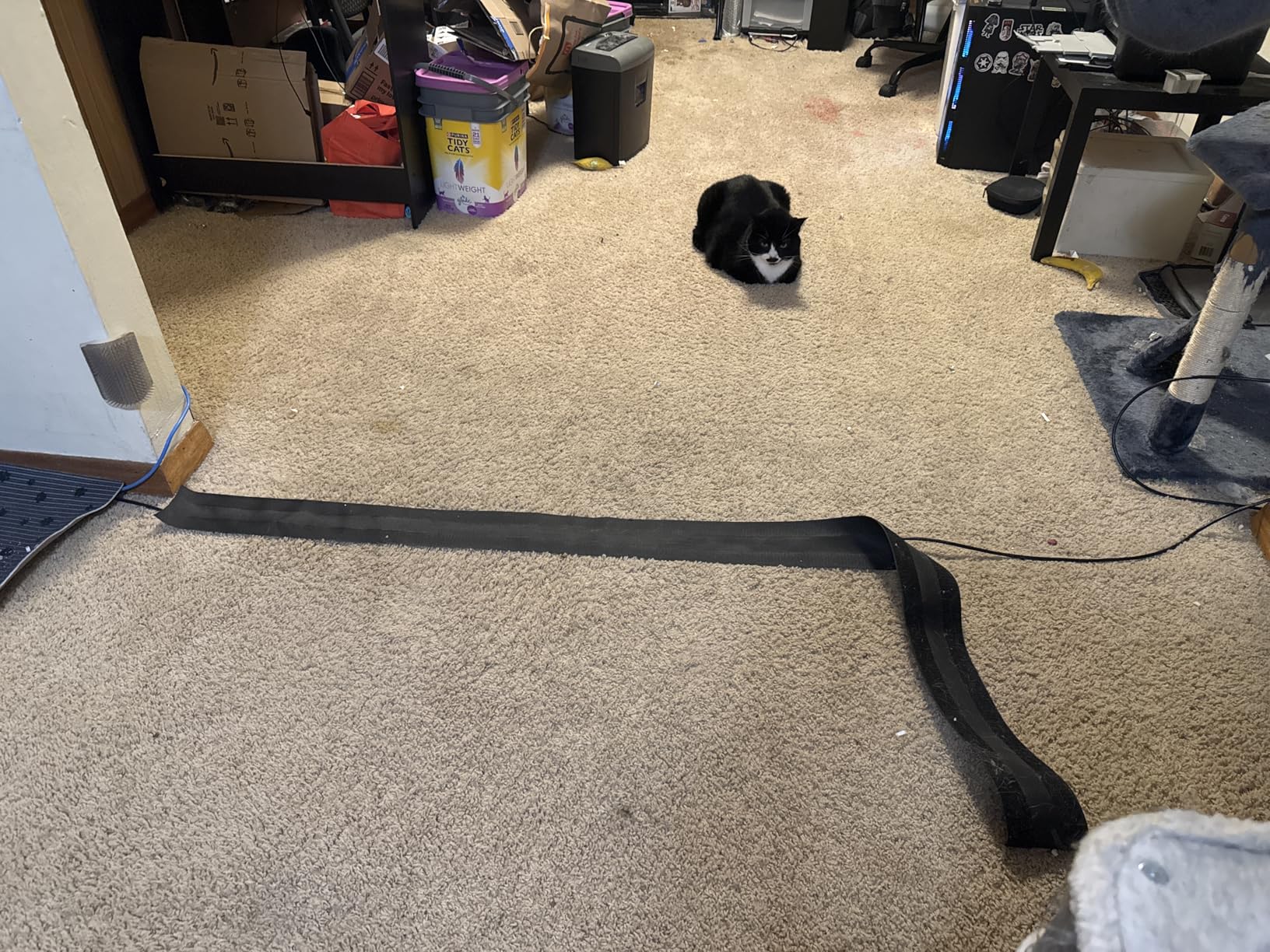 Eureka E20 Robot Vacuum with Bagless Self Emptying Station, Robotic Vacuum and Mop Combo, 45-Day Capacity, Upgraded 8000Pa Suction and Anti Hair-Tangling Brush, LiDAR Navigation, App Control customer photo 2