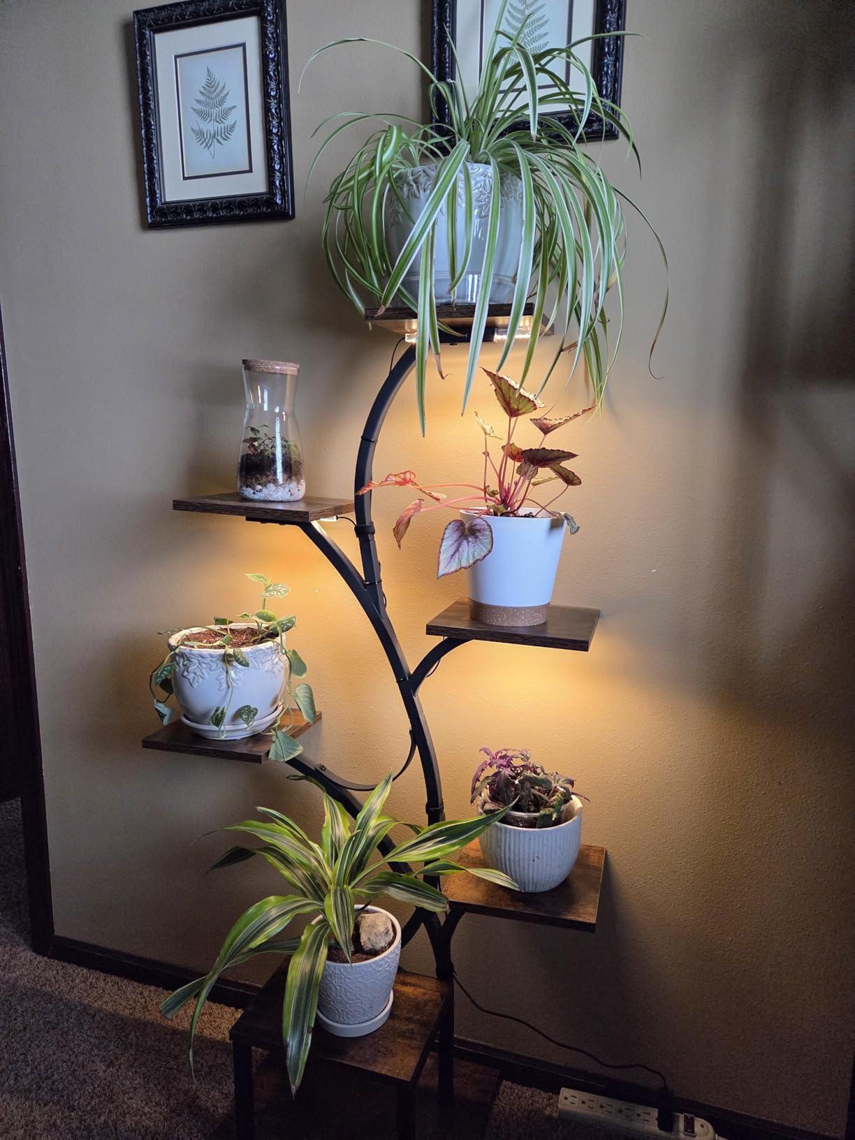 Plant Stand Indoor with Grow Lights, 7 Tiered Indoor Plant Shelf, 49