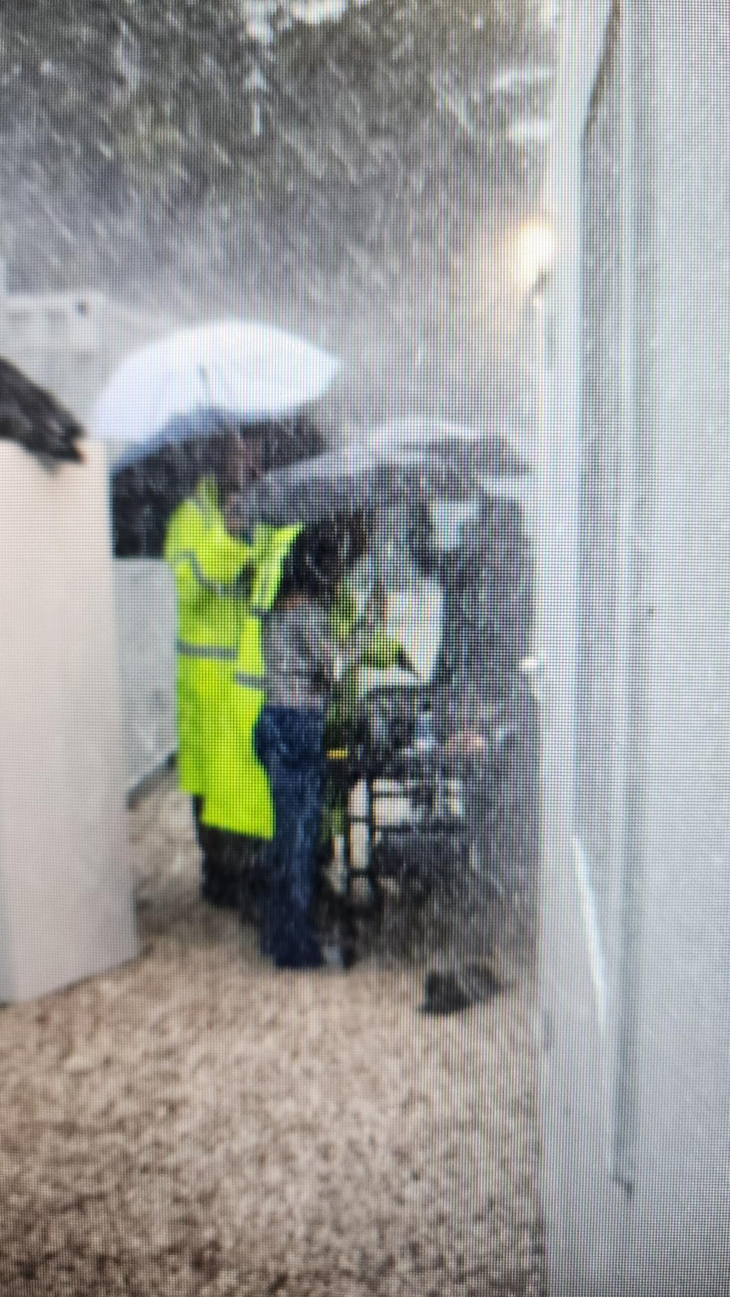 Blackstone Omnivore Outdoor Flat Top Gas Griddle w/Hard Cover, 36