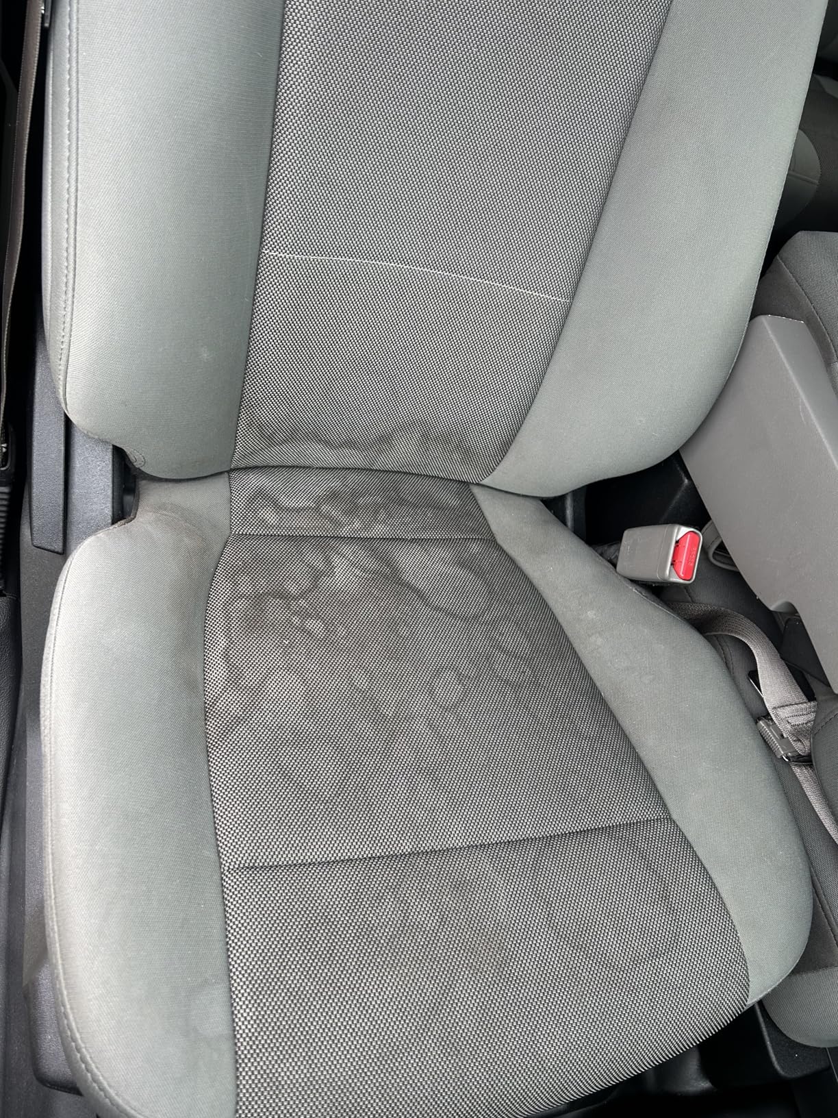 Shark StainStriker HairPro Portable Carpet, Upholstery & Area Rug Cleaner with Pet Mess & Hair Tools, Self-Cleaning, Perfect for Pets & Car Interiors, 4 Cleaning Tools & Pet Solution customer photo 1