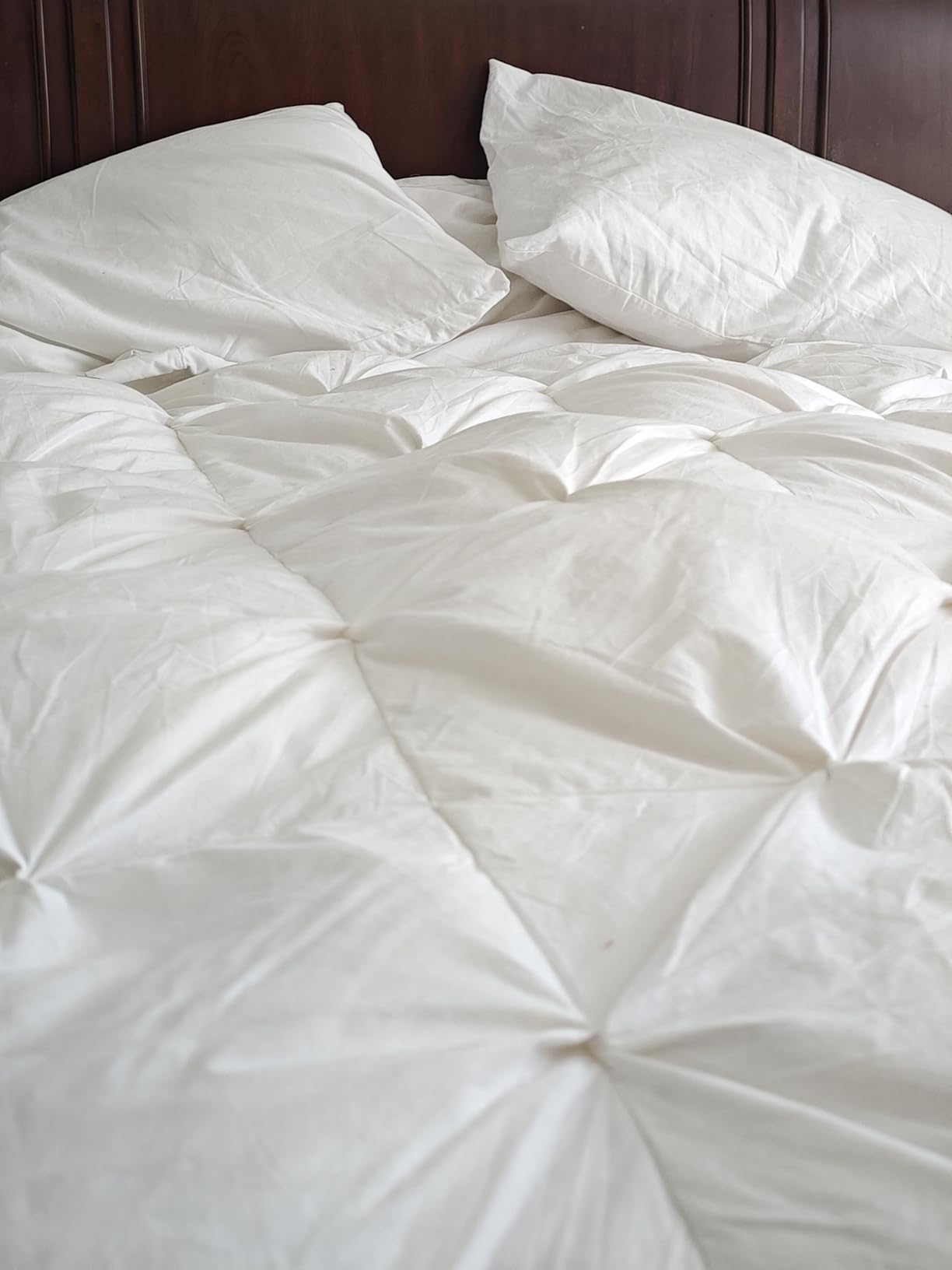 Shark StainStriker HairPro Portable Carpet, Upholstery & Area Rug Cleaner with Pet Mess & Hair Tools, Self-Cleaning, Perfect for Pets & Car Interiors, 4 Cleaning Tools & Pet Solution customer photo 2