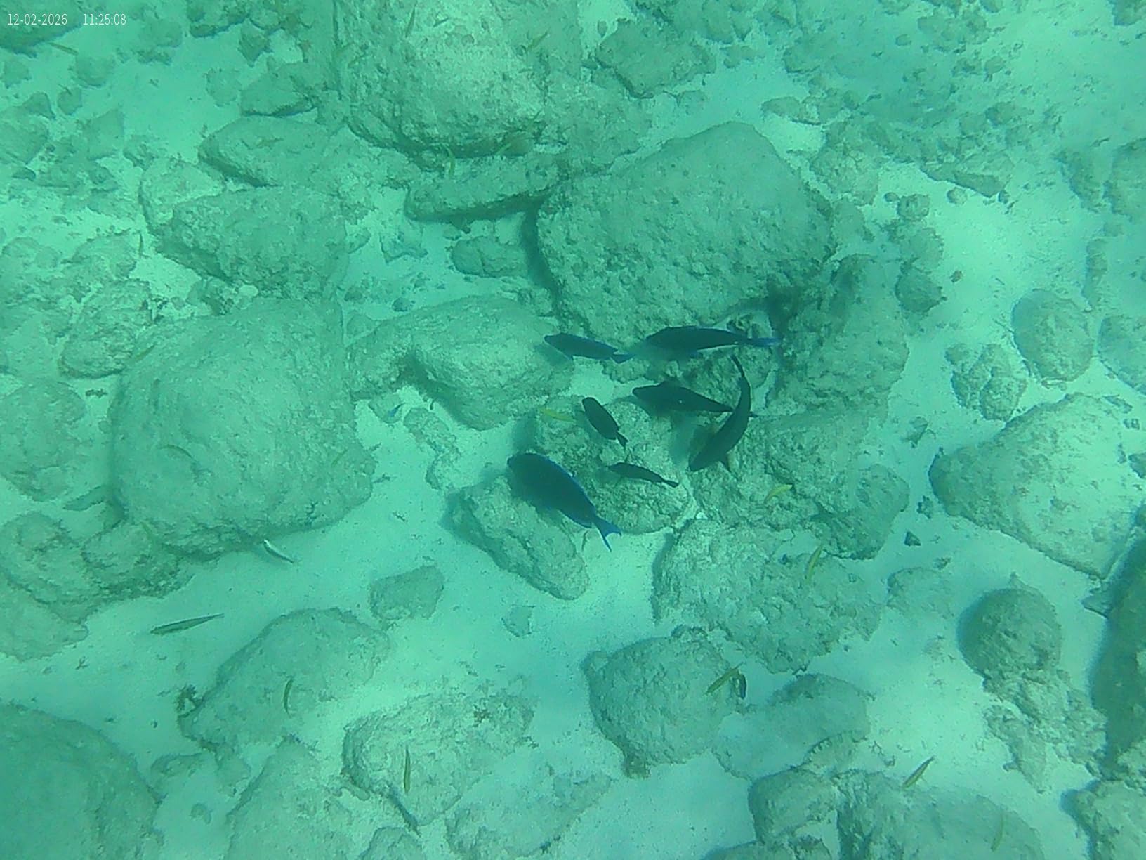 4K 60FPS Action Camera with 64GB Card-48MP Waterproof Camera, 40M Underwater Camera, 8X Zoom, EIS Stabilization, WiFi, Remote Control, Motorcycle Camera with 2 Rechargeable Batteries customer photo 2