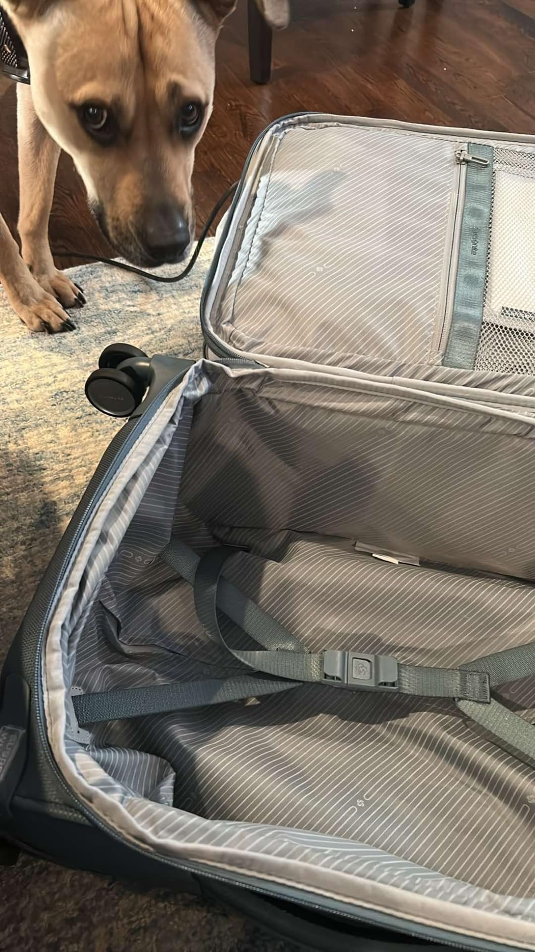 Samsonite UpLIFT Lightweight Softside Carry-On Luggage with Spinner Wheels - Expandable - Airline-Approved, Polyester Soft Suitcase for Ultra Light Travel - Black customer photo 1