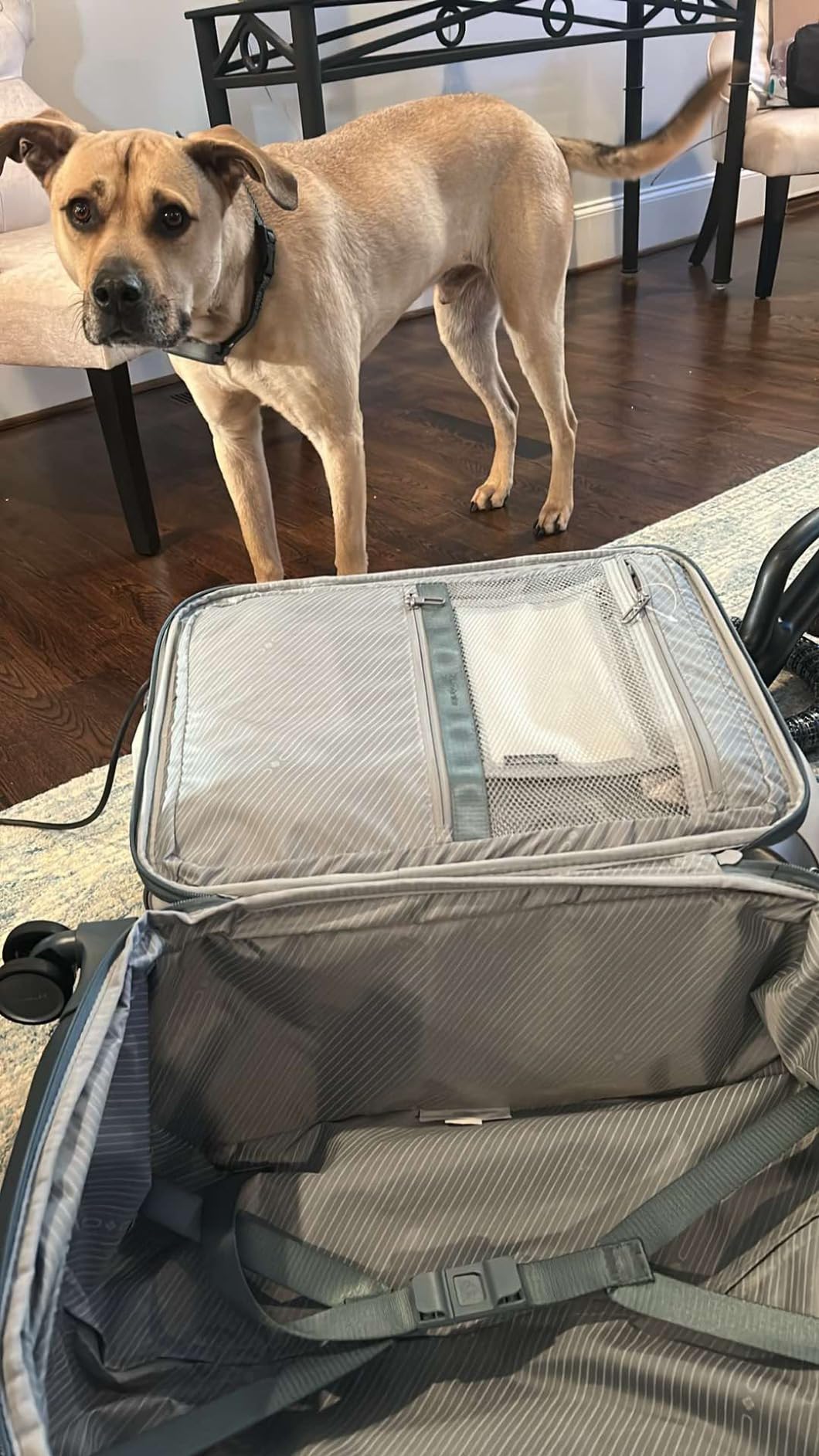 Samsonite UpLIFT Lightweight Softside Carry-On Luggage with Spinner Wheels - Expandable - Airline-Approved, Polyester Soft Suitcase for Ultra Light Travel - Black customer photo 2