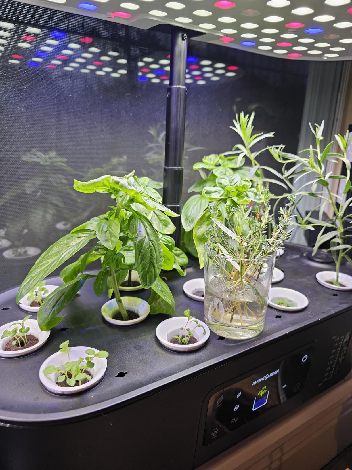 Ahopegarden Hydroponics Growing System Kit Indoor Herb Garden with Grow Light 12 Pods, with LCD Touch Panel Hydroponic Planter, Planting Height Up to 17