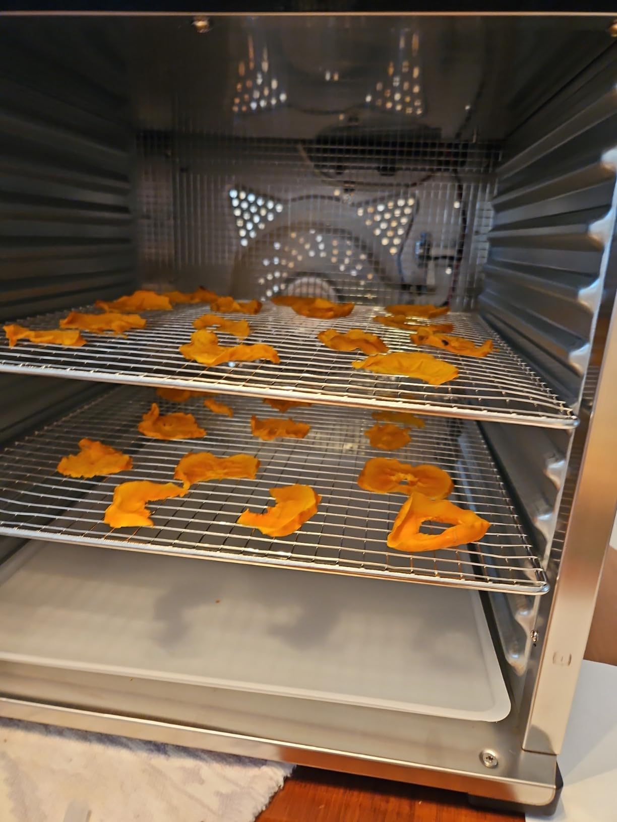 LEM Products BigBite 10-Tray Stainless Steel Dehydrator, Food Dehydrator for Beef Jerky, Meat, Vegetables, and Fruits, Includes Dryer Machine and 10 Trays, Silver customer photo 1