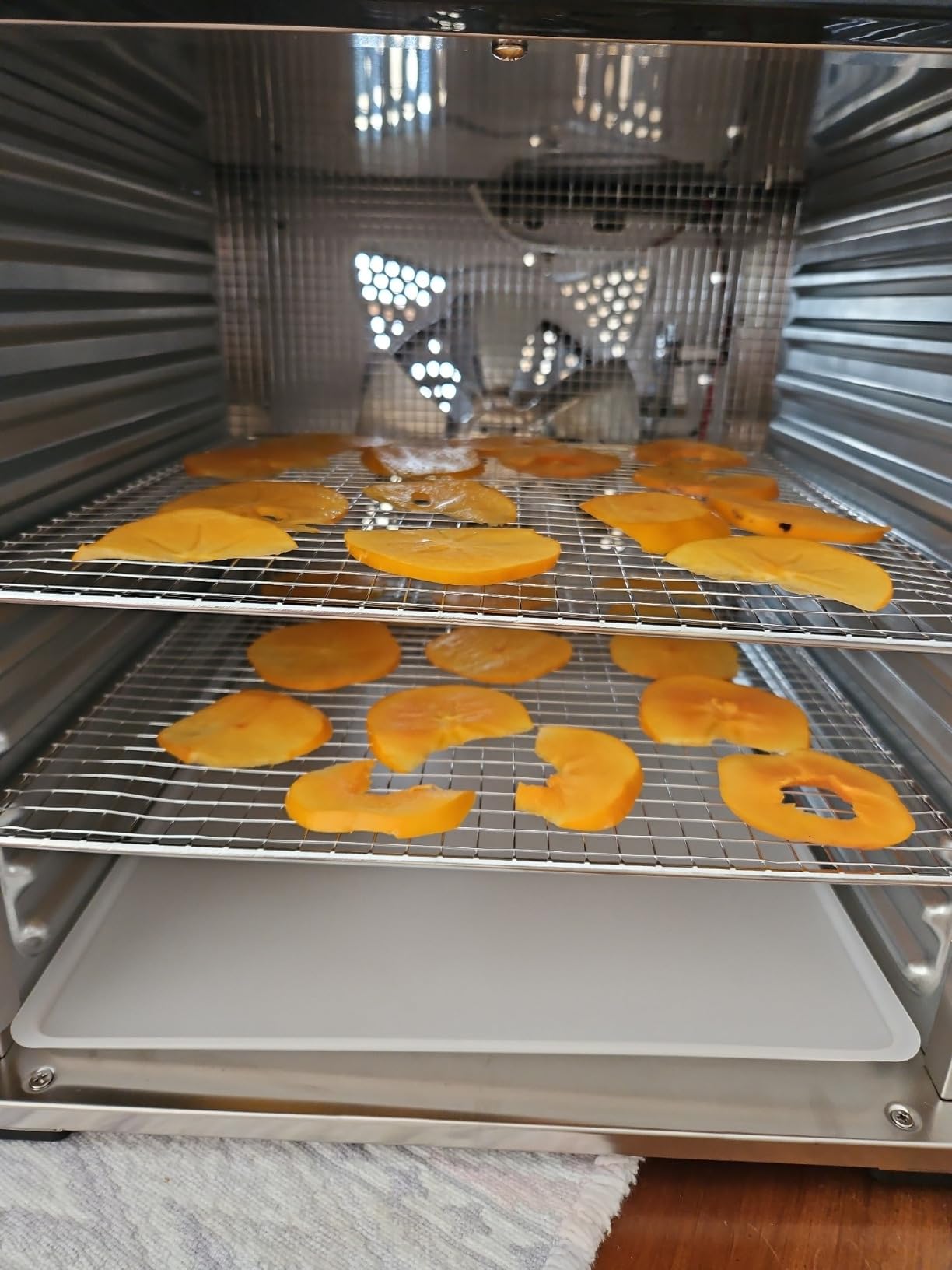 LEM Products BigBite 10-Tray Stainless Steel Dehydrator, Food Dehydrator for Beef Jerky, Meat, Vegetables, and Fruits, Includes Dryer Machine and 10 Trays, Silver customer photo 2