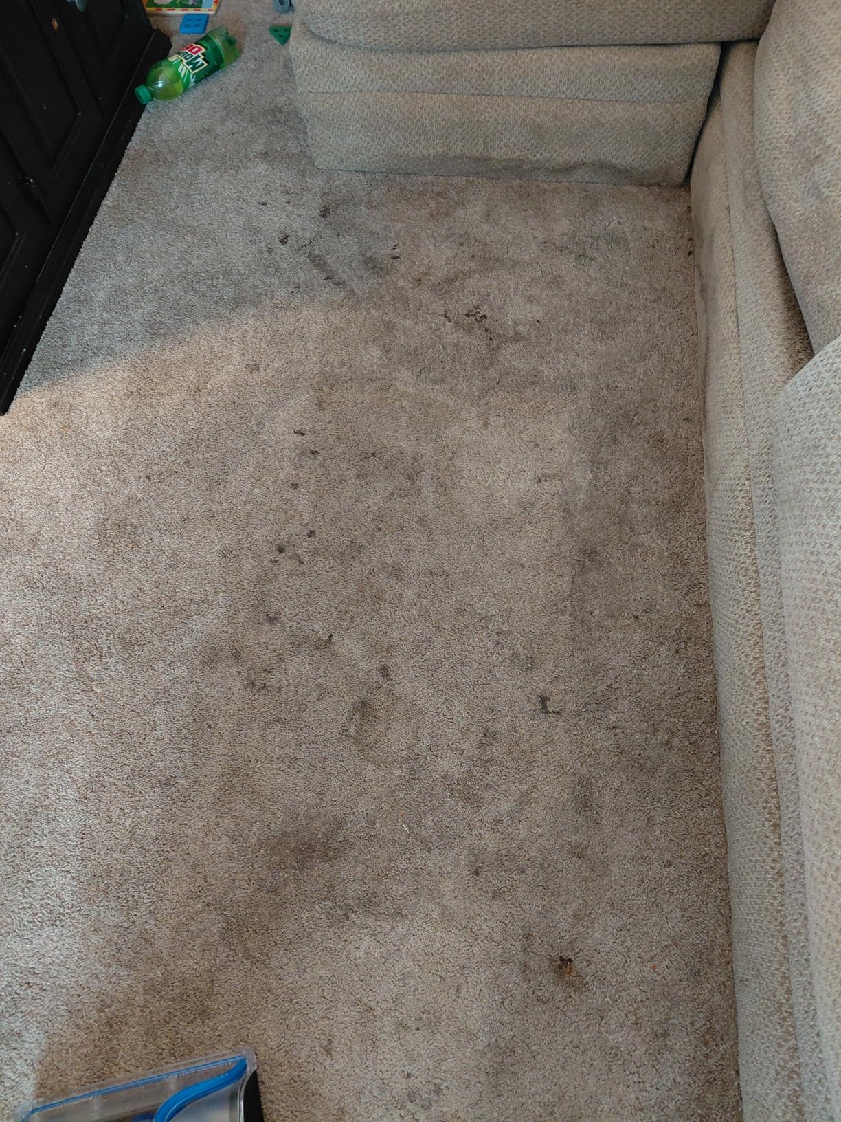 BISSELL TurboClean PET, Upright Carpet & Upholstery Cleaner, 3948 customer photo 2