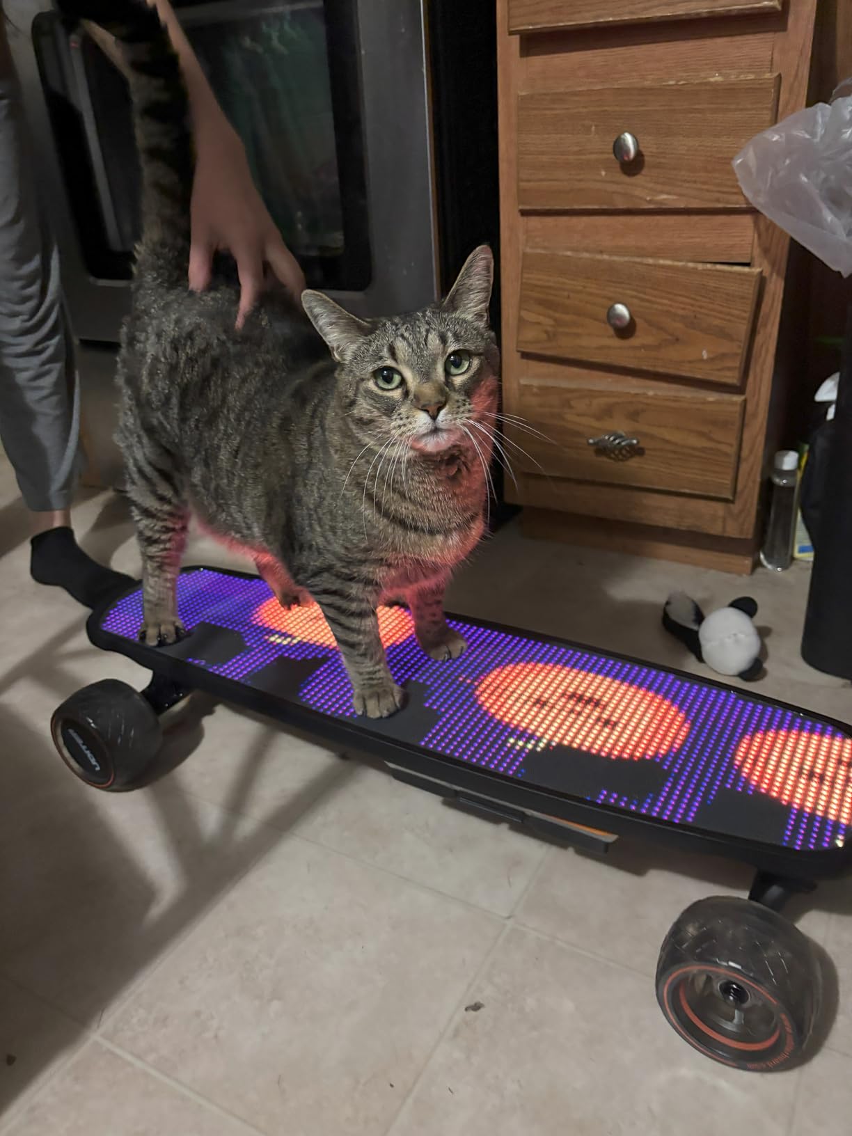 Electric Skateboard with Remote, Max 600W x 2 Hub-Motors, Swappable Battery, Up to 28 MPH, 12-25 Miles Range, 4 Speed Modes, Electric Longboard for Adults & Beginners (Flamo / S3 / Pixel Series) customer photo 1