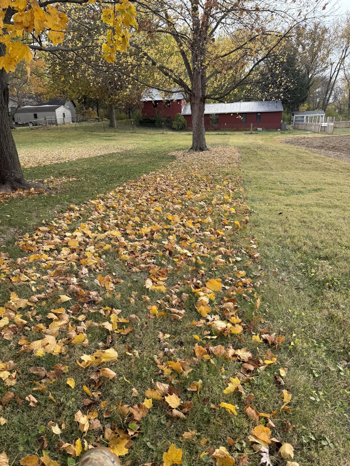 Agri-Fab 45-0630 Large Capacity 29 CU FT Soft Top Mow-N-Vac, Tow Behind Lawn Vacuum customer photo 1