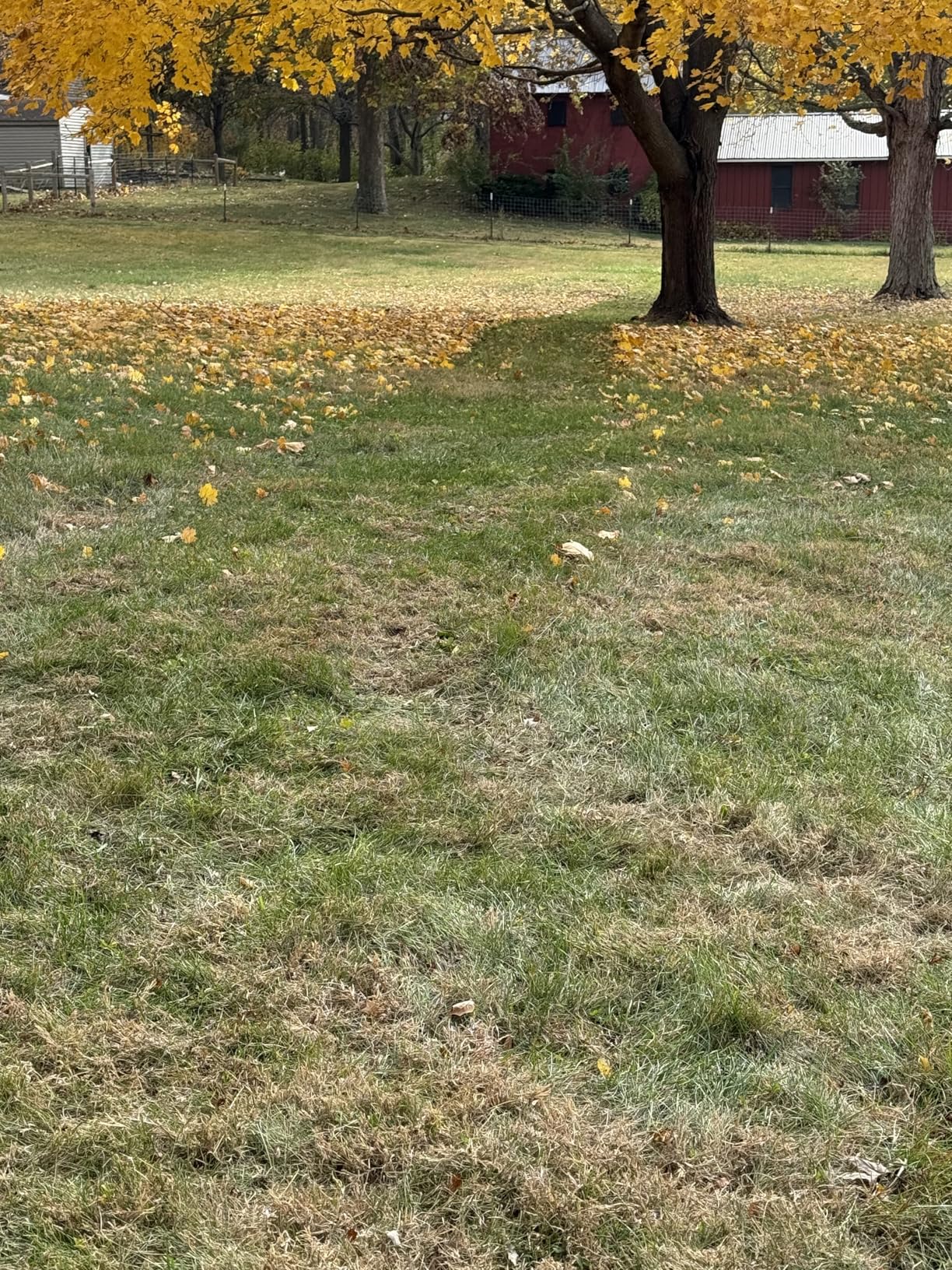 Agri-Fab 45-0630 Large Capacity 29 CU FT Soft Top Mow-N-Vac, Tow Behind Lawn Vacuum customer photo 2