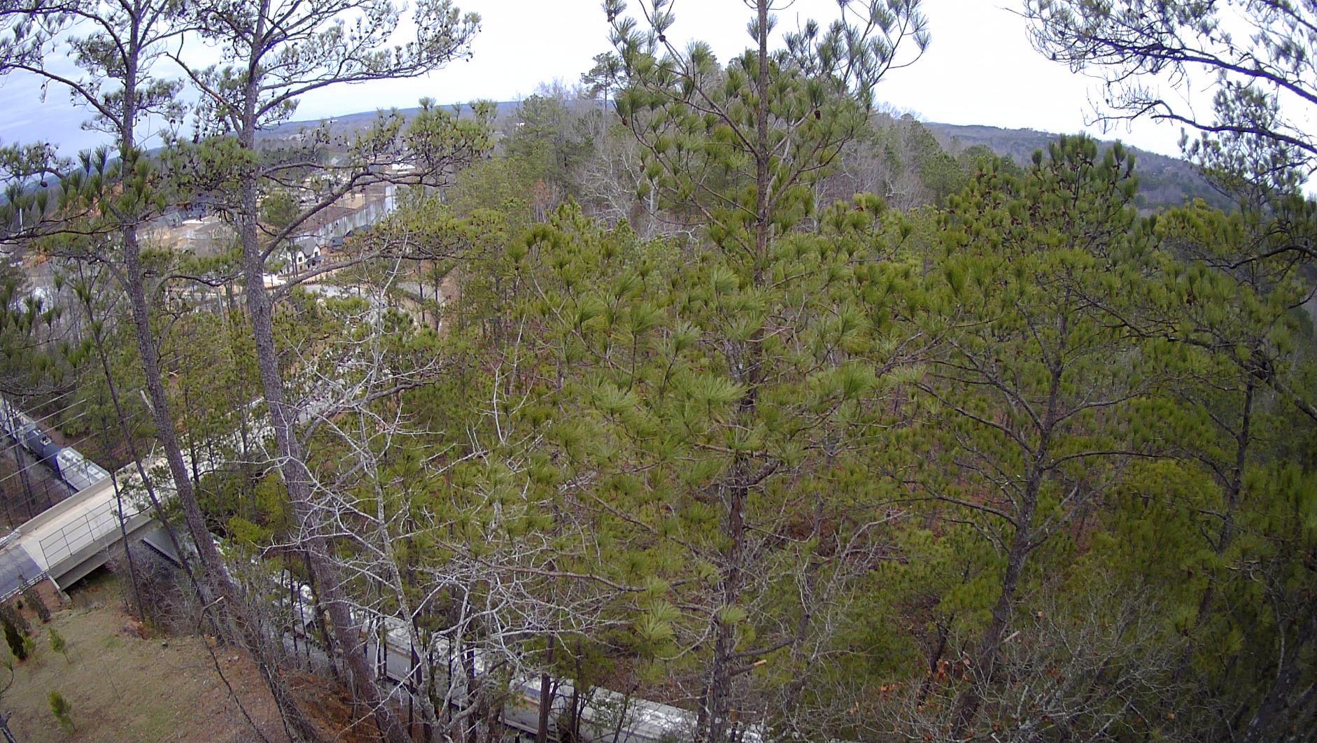 Ruko F11PRO 2 Drone with Camera for Adults, 6K Camera Drone, 3-Axis Gimbal, 2 Batteries for 70-Min Flight Time, Long-Range Transmission, Auto Return & Beginner Mode customer photo 2