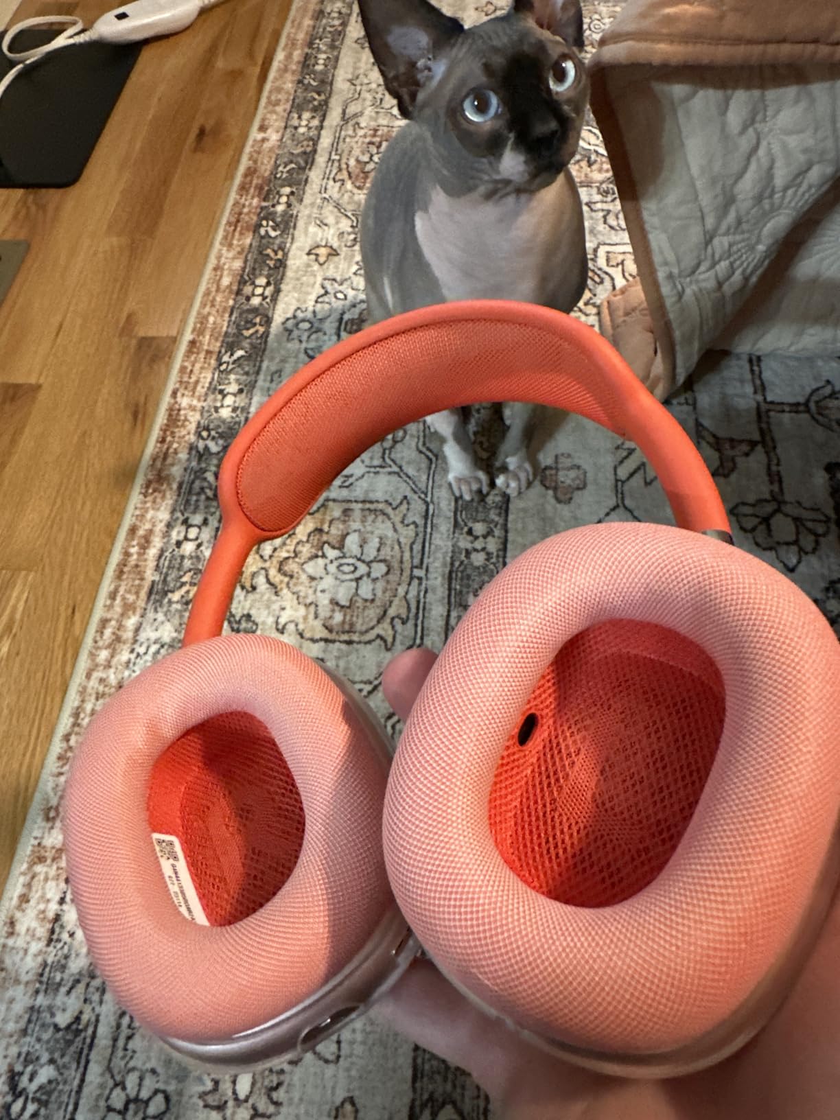 Apple AirPods Max - Midnight (Renewed) customer photo 2