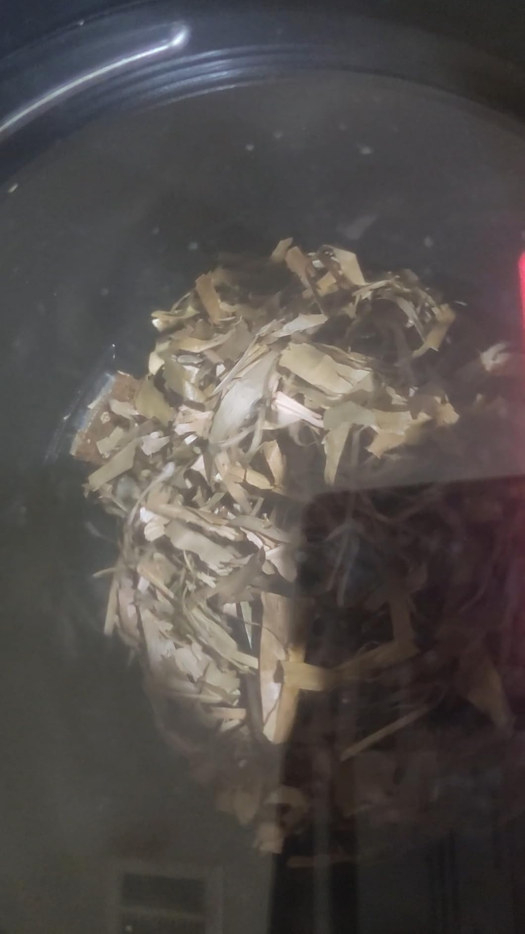 4L Electric Composter for Kitchen, Smart Countertop Compost Bin, Odorless | Low Noise | Auto-Cleaning | Turn Food Waste into Fertilizer, Indoor Food Waste Compost Machine, White customer photo 2